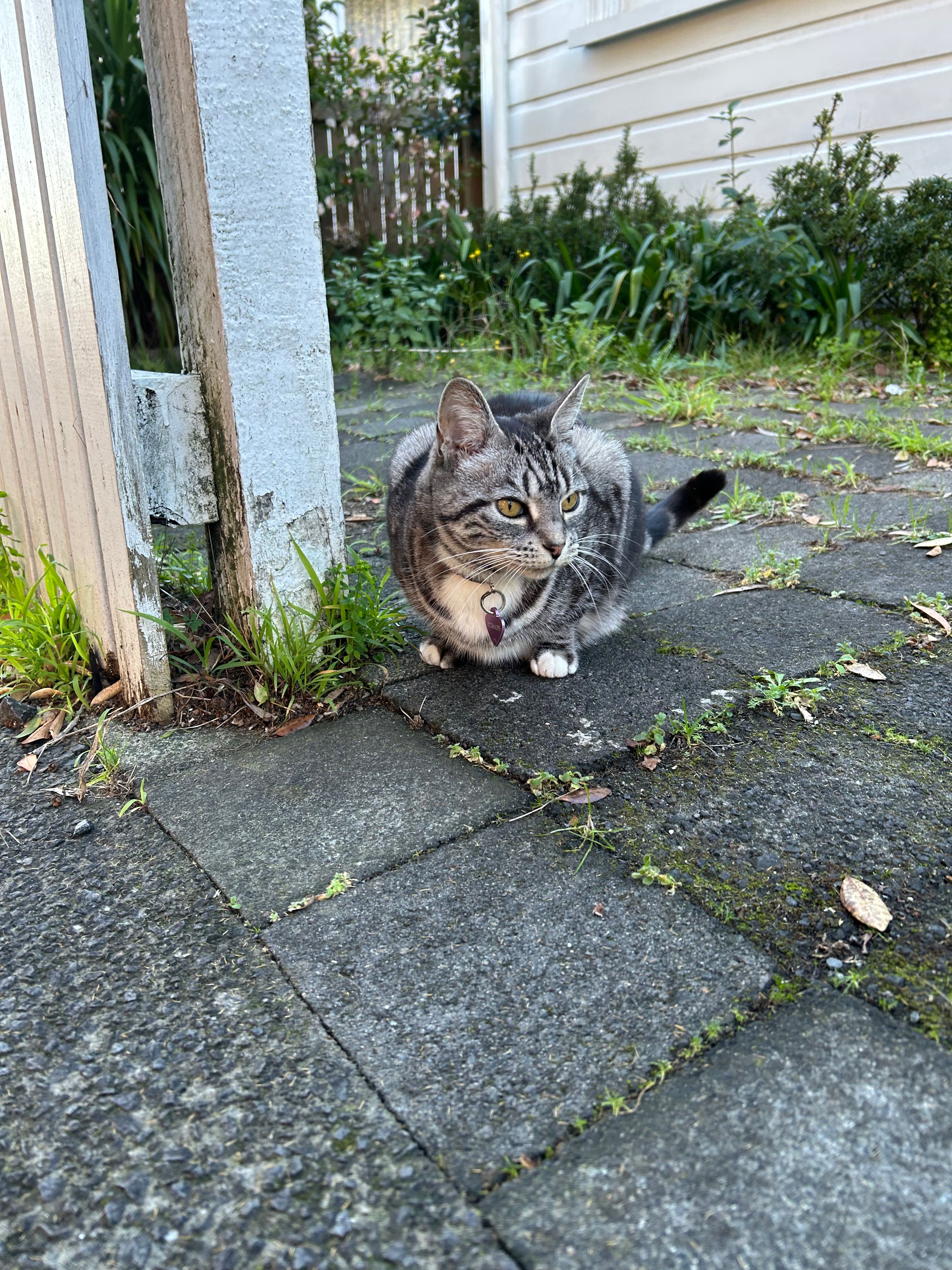 image-8