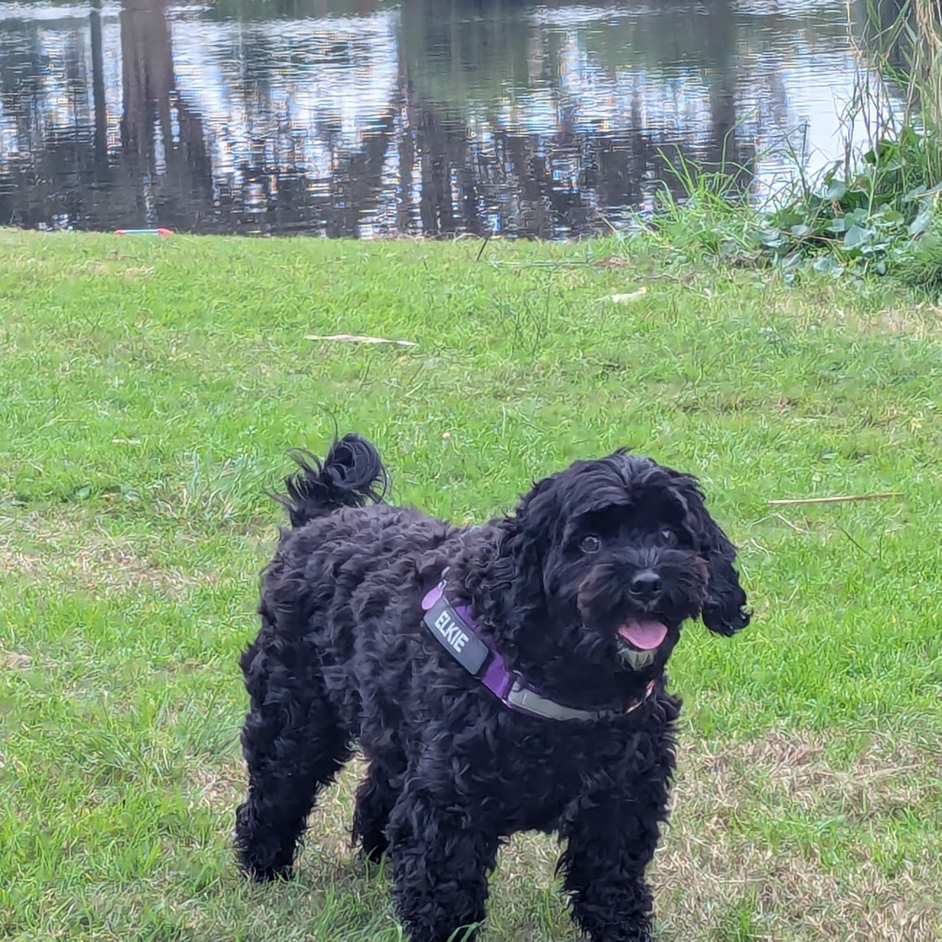 Lucy