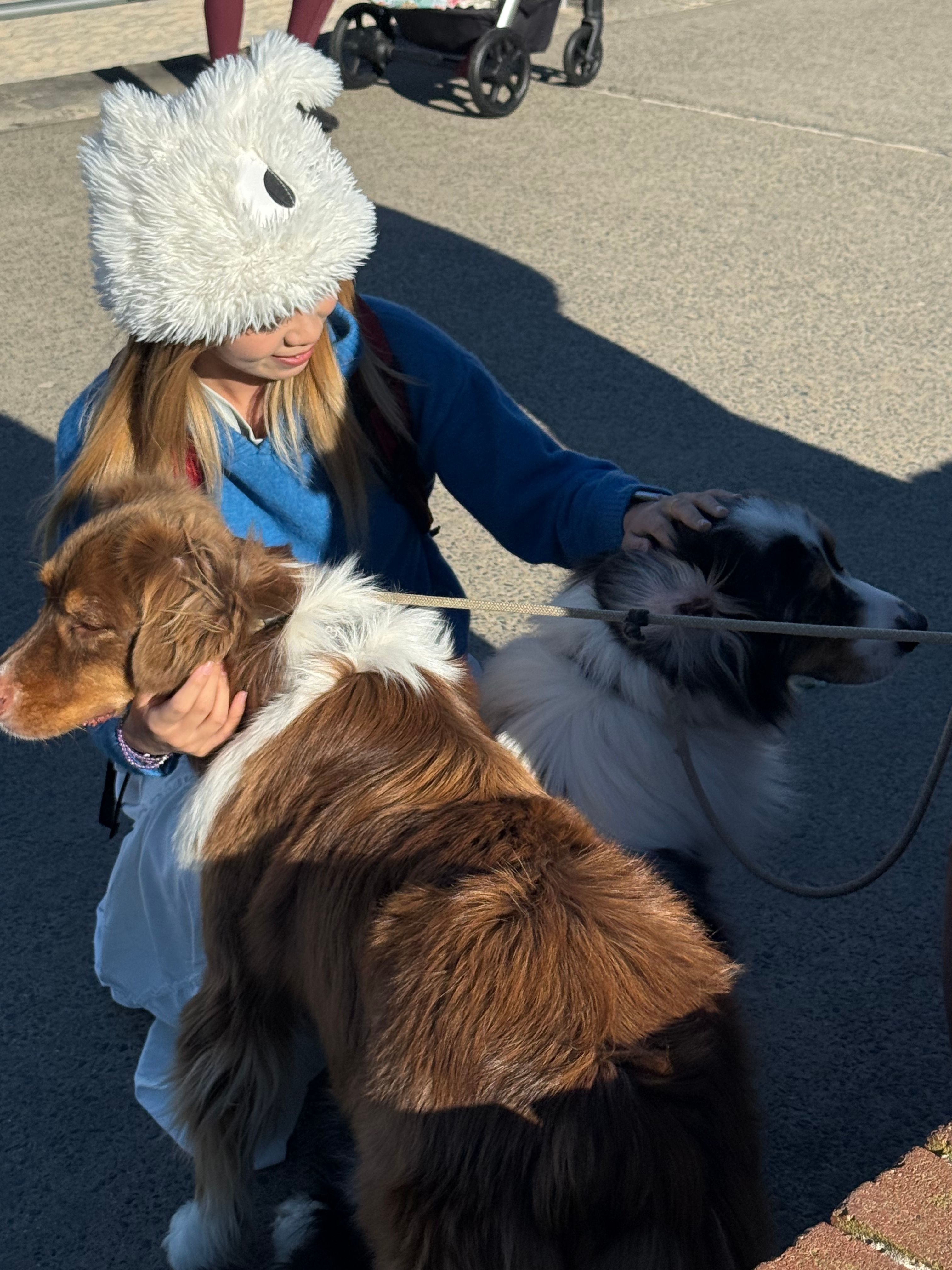 image-5