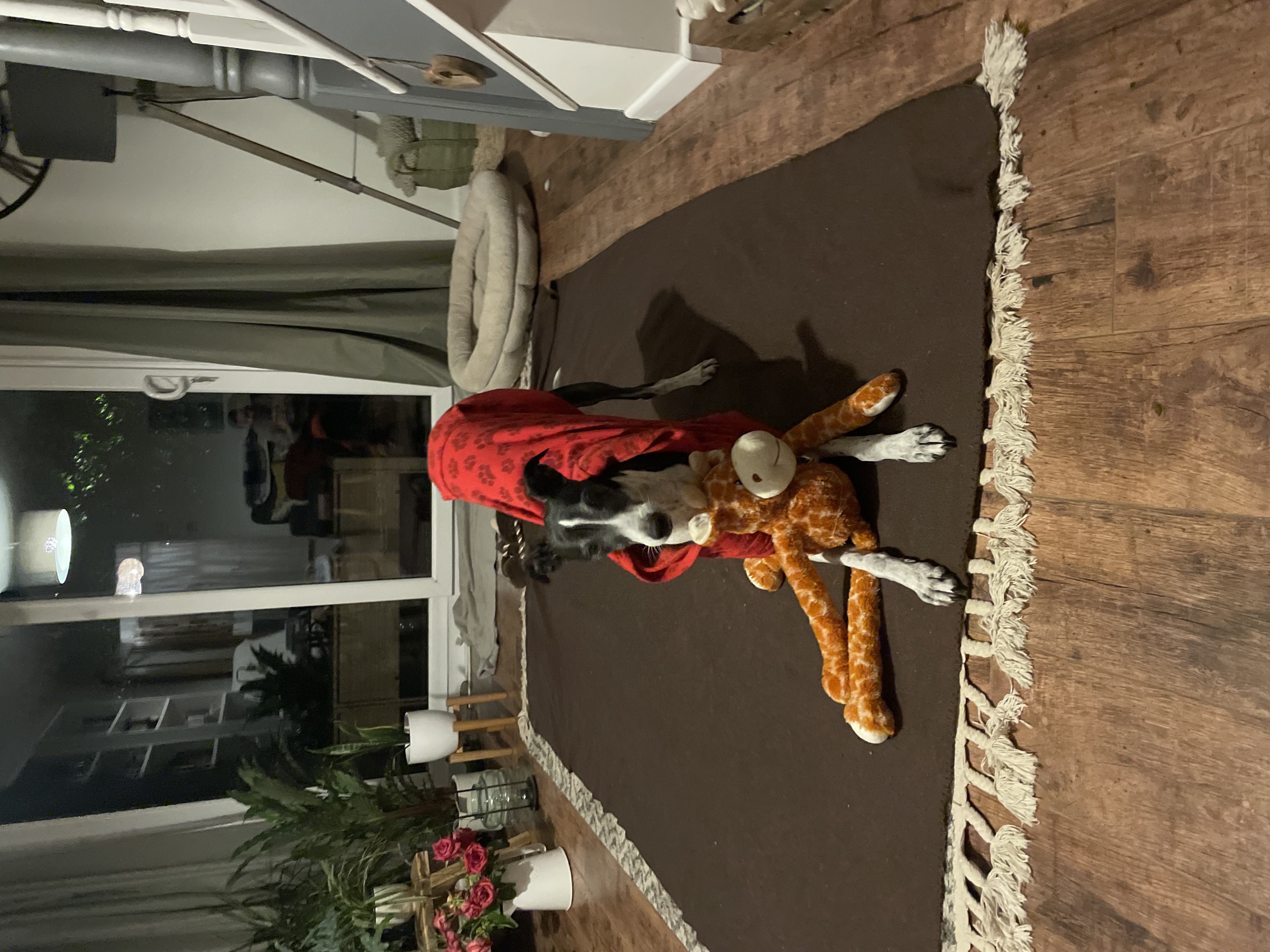 image-7