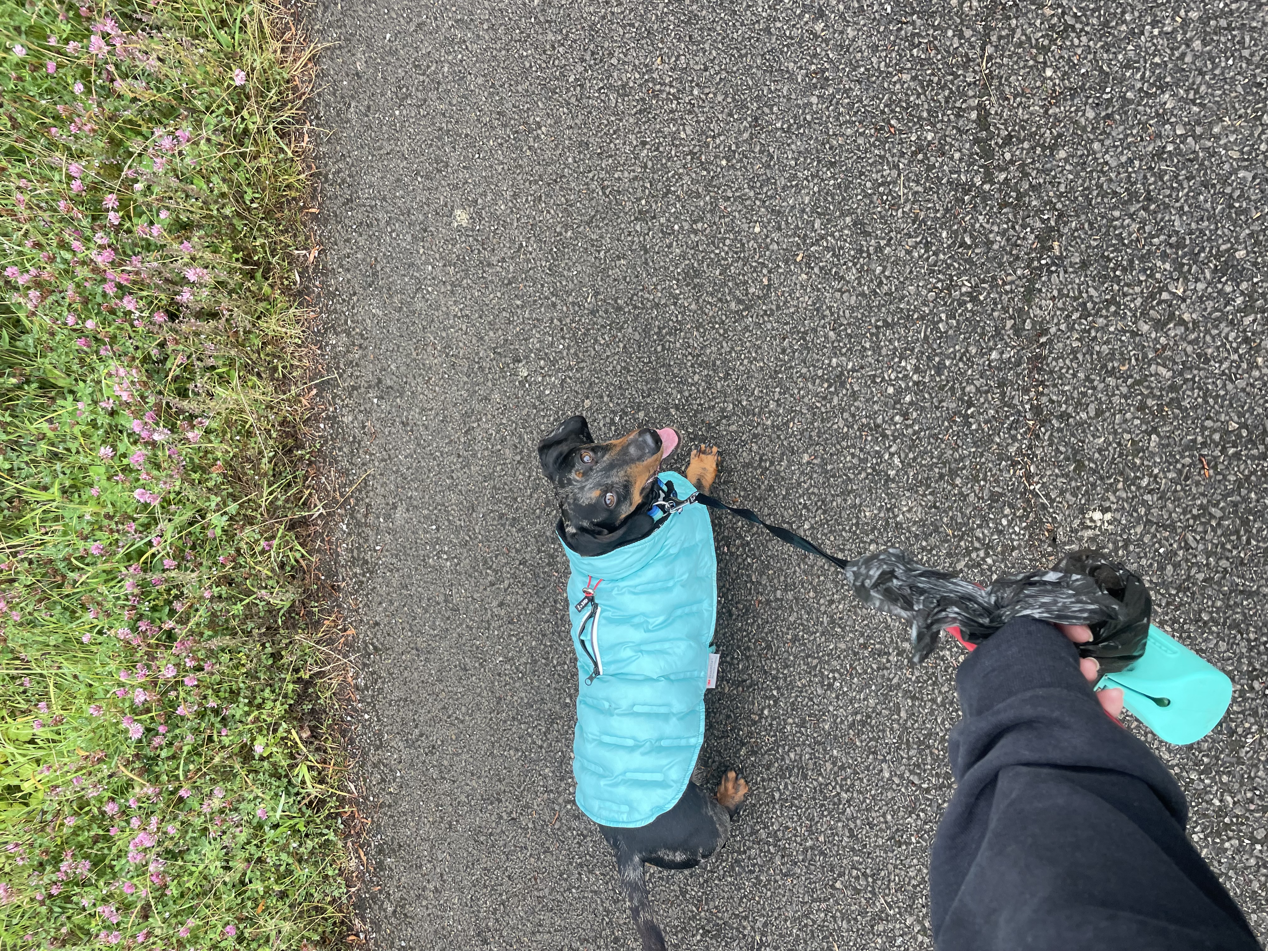 image-15
