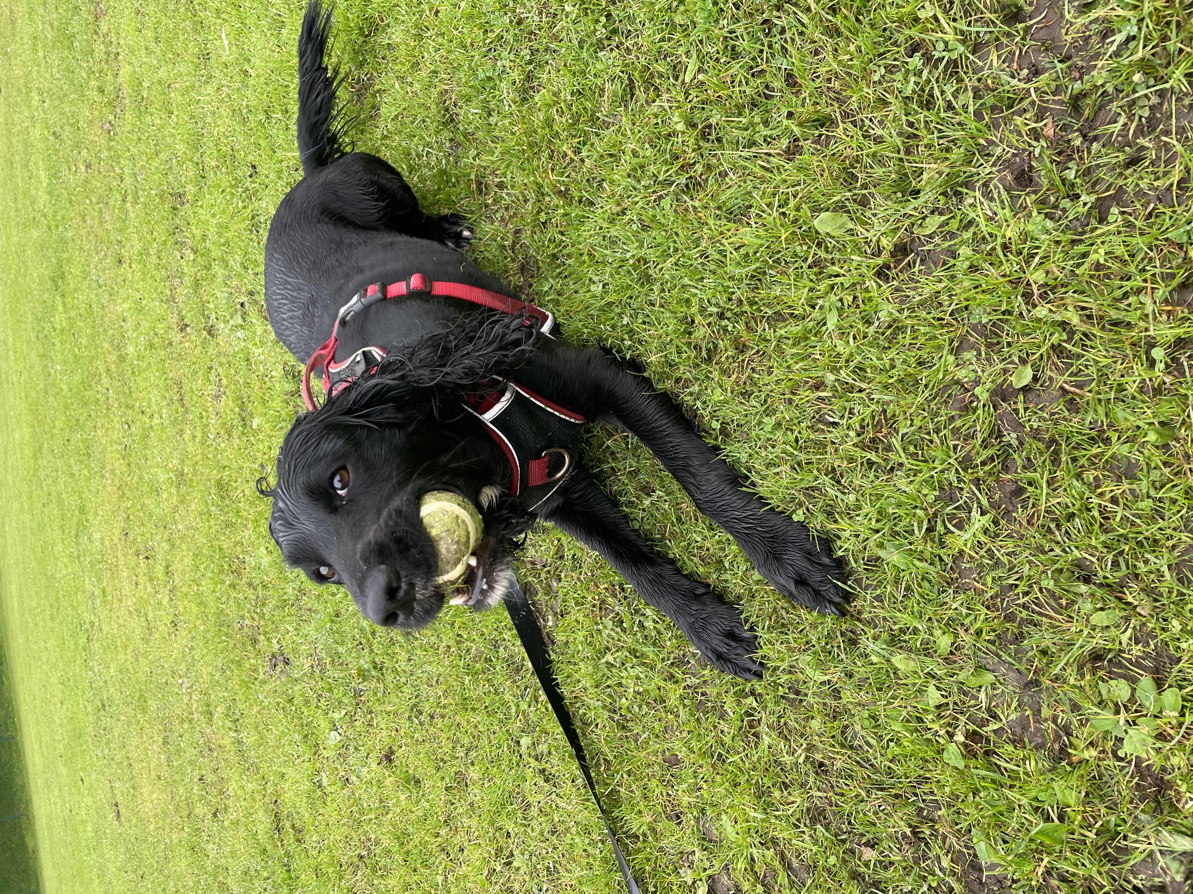 image-8