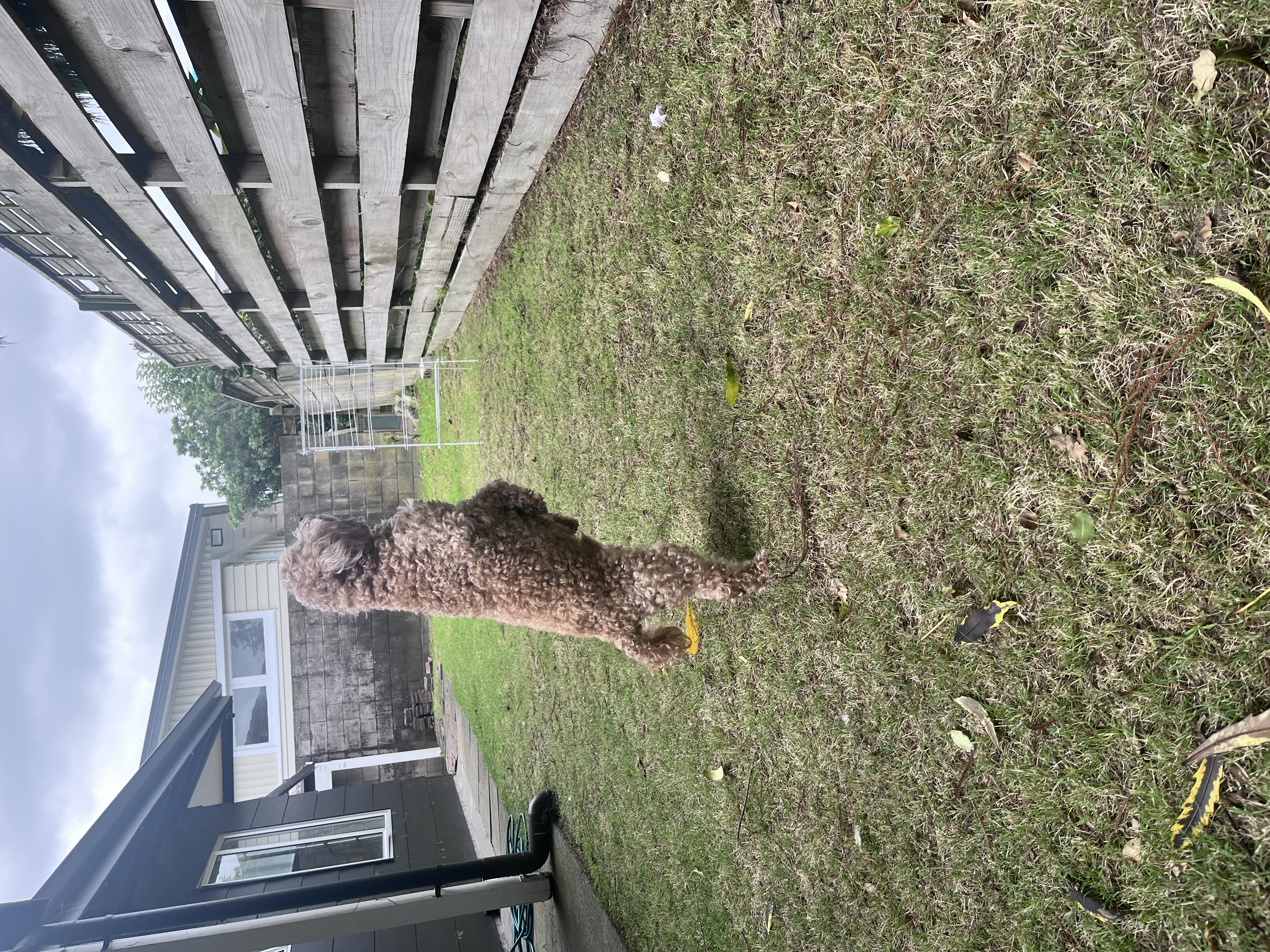 image-9