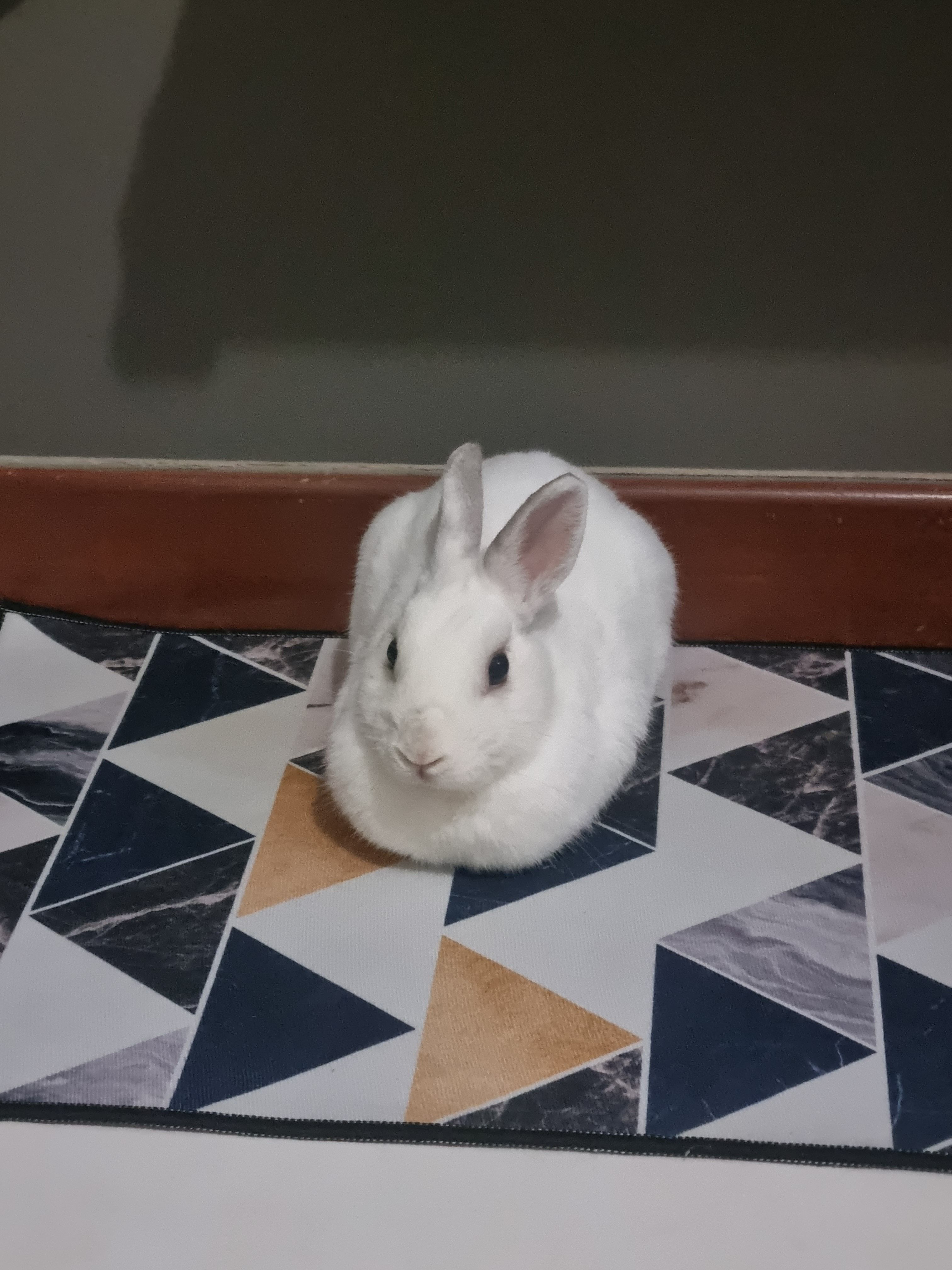 image-8