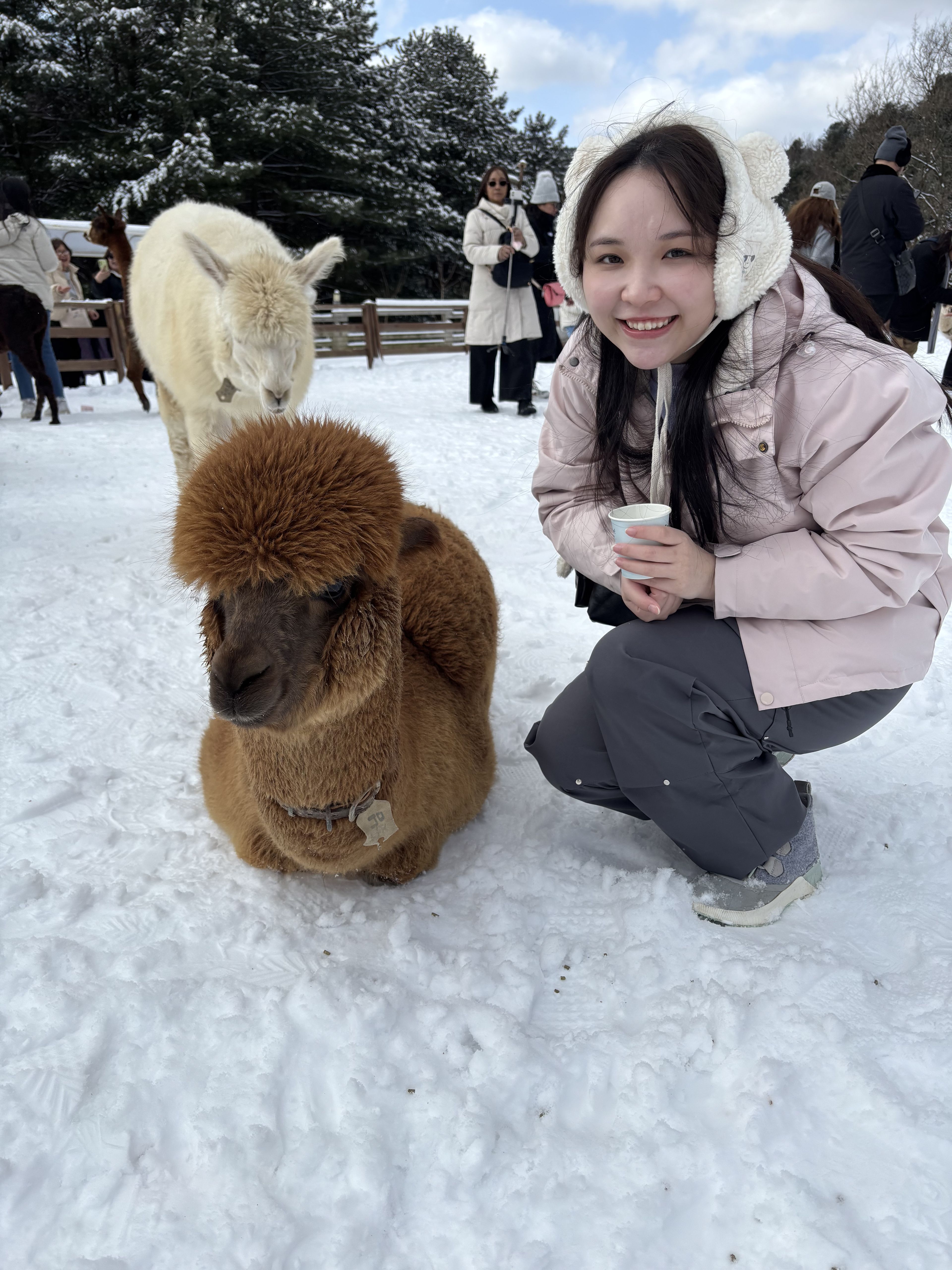 image-11