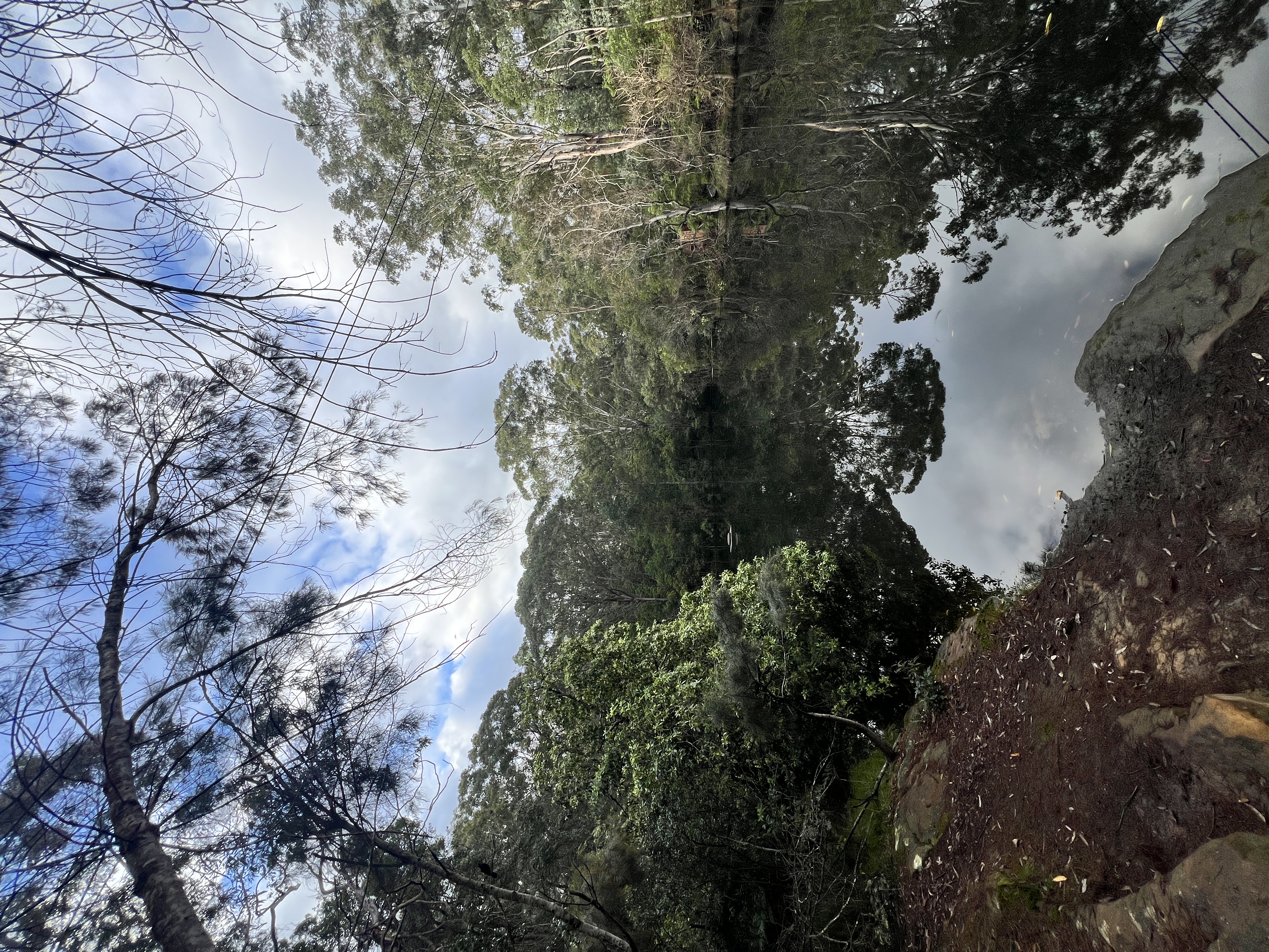 image-14