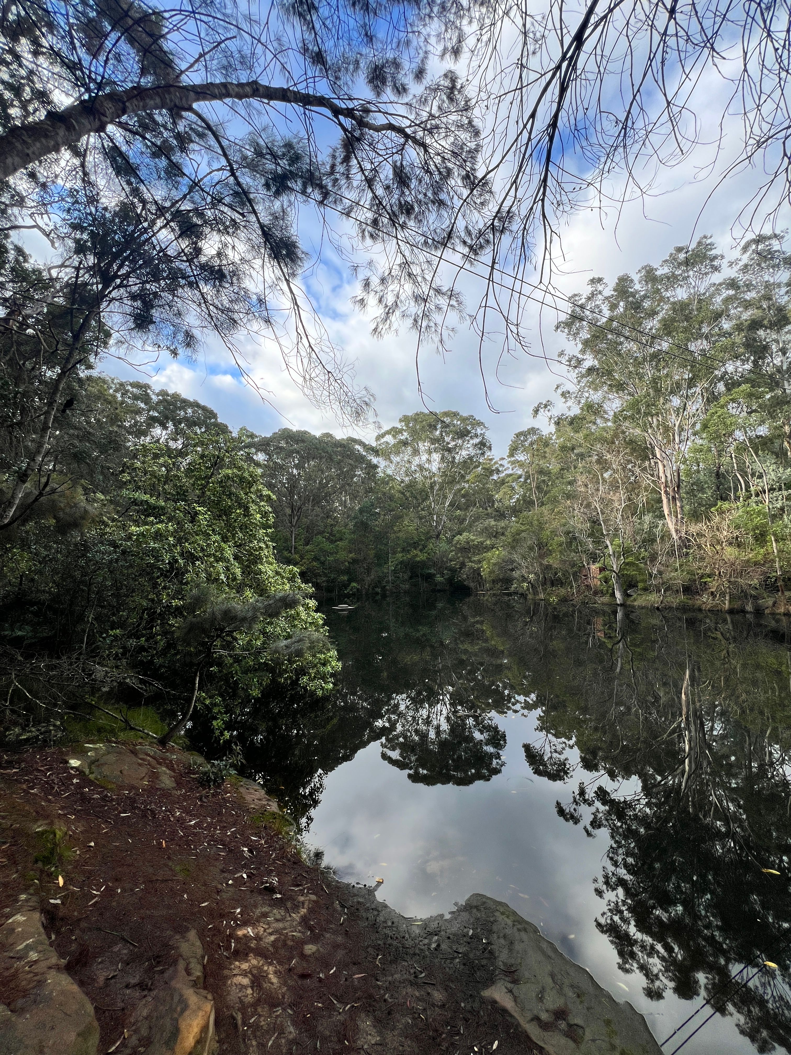 image-14