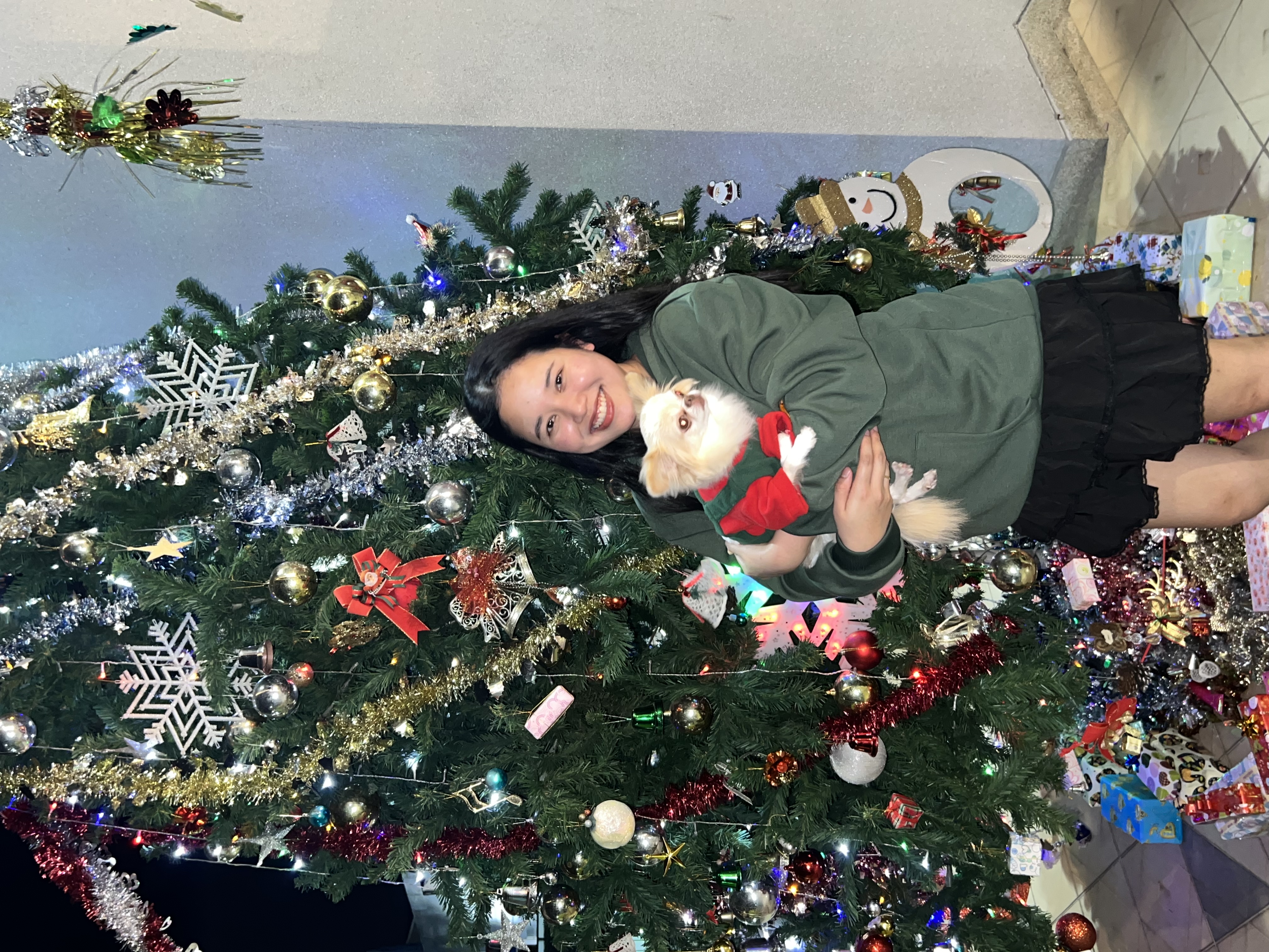 image-15