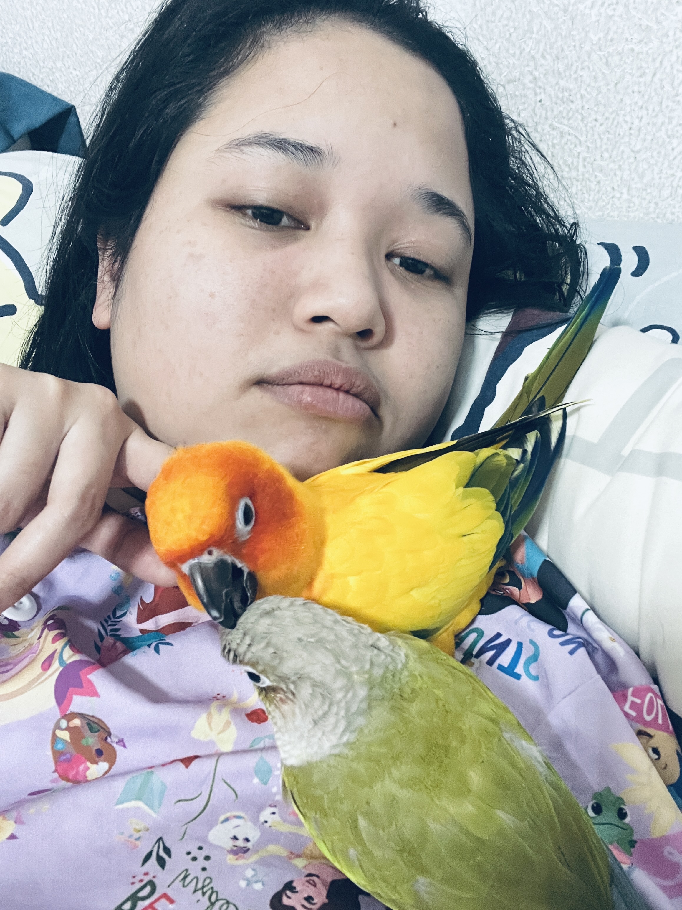 image-12