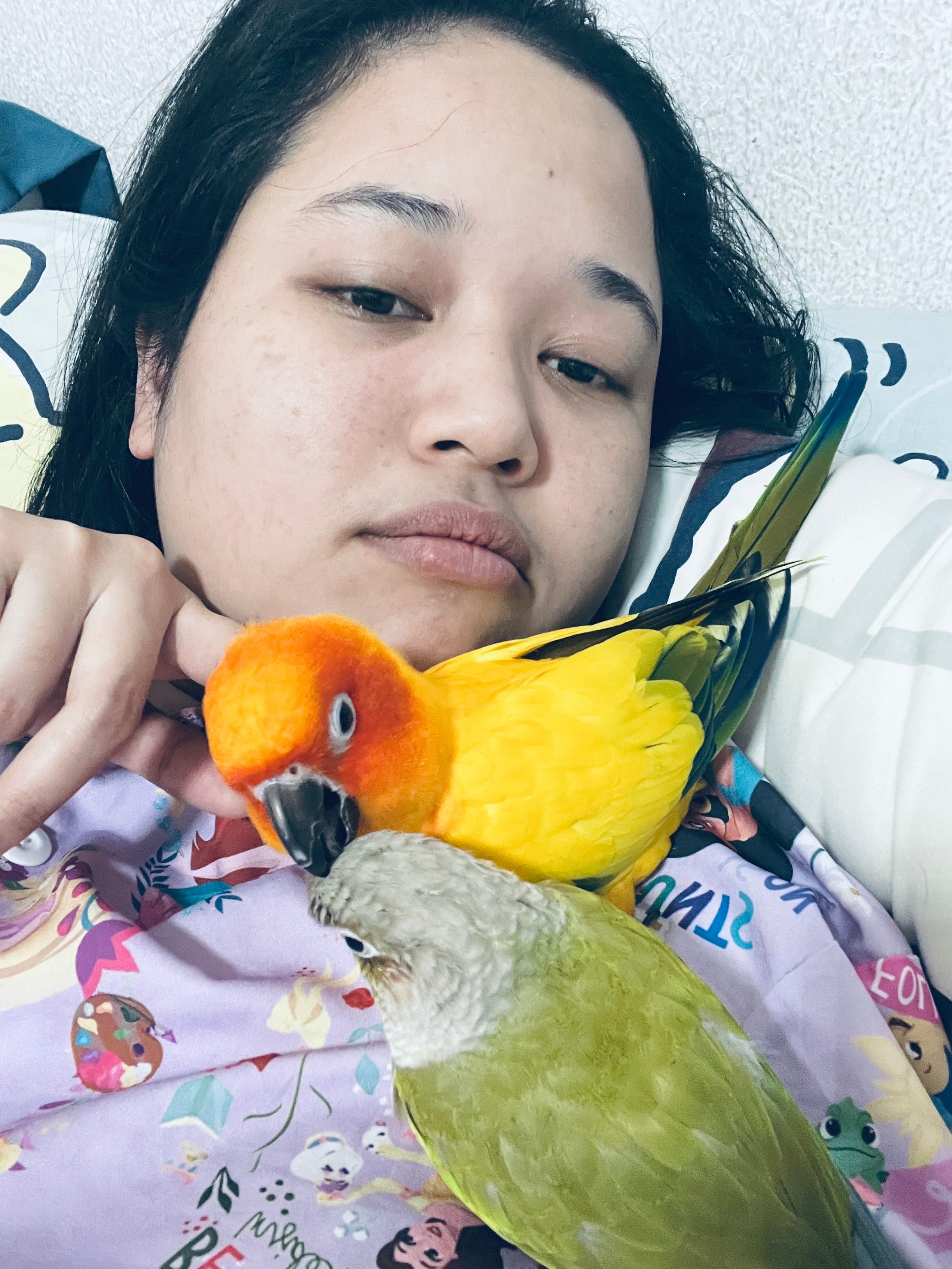image-12