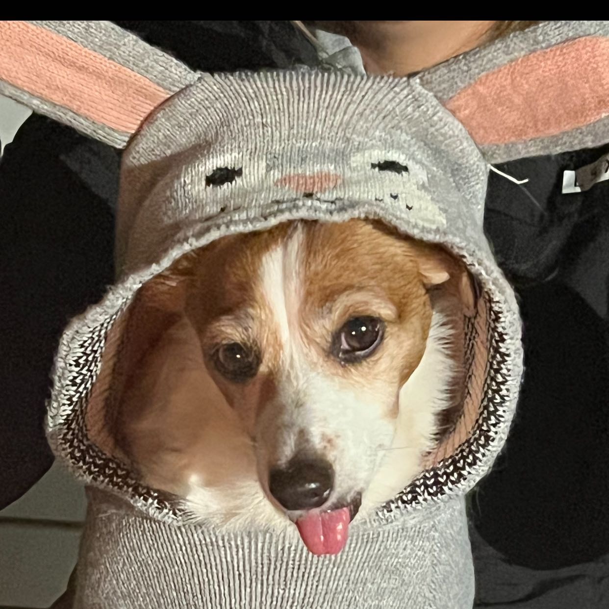 Amy