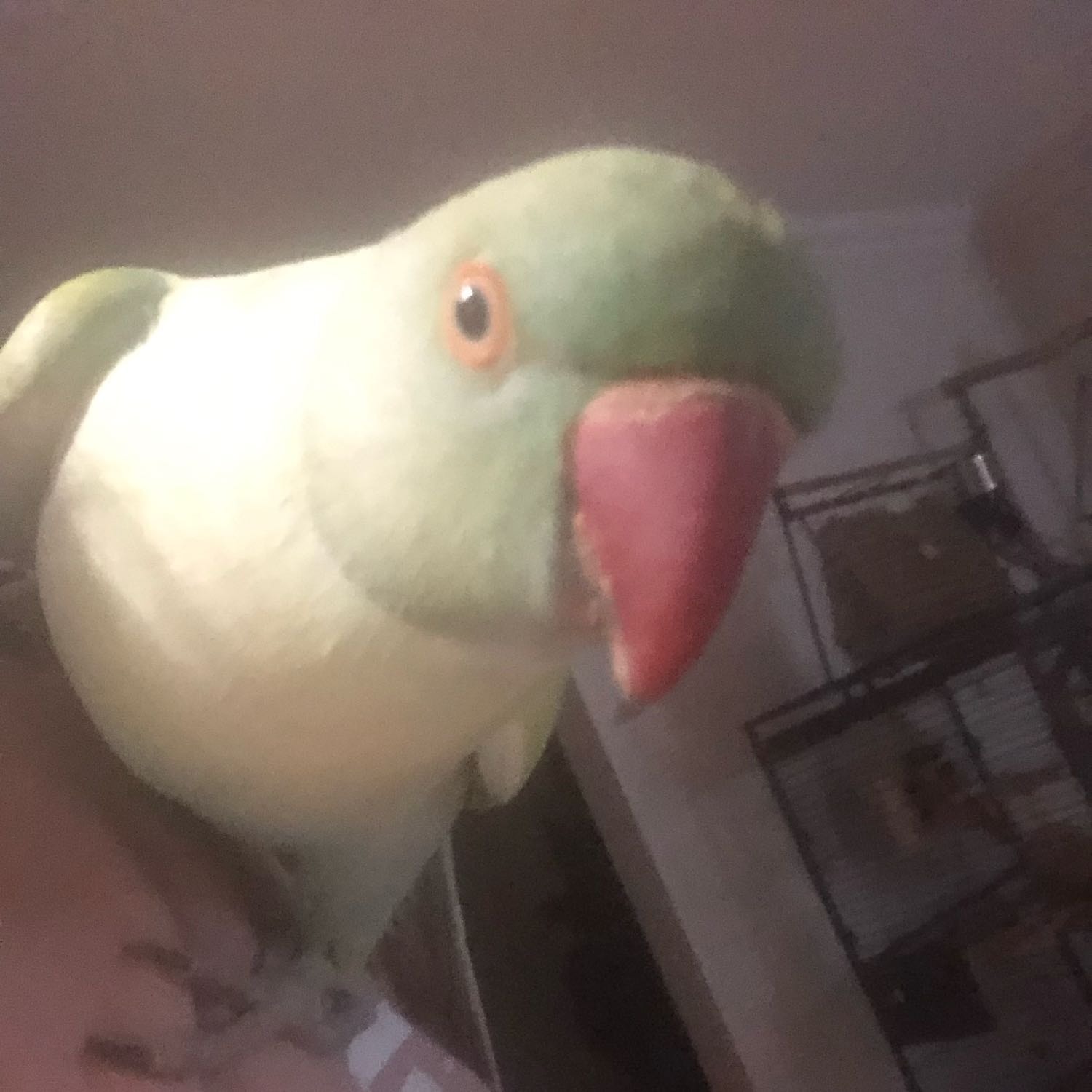 Pearly George 