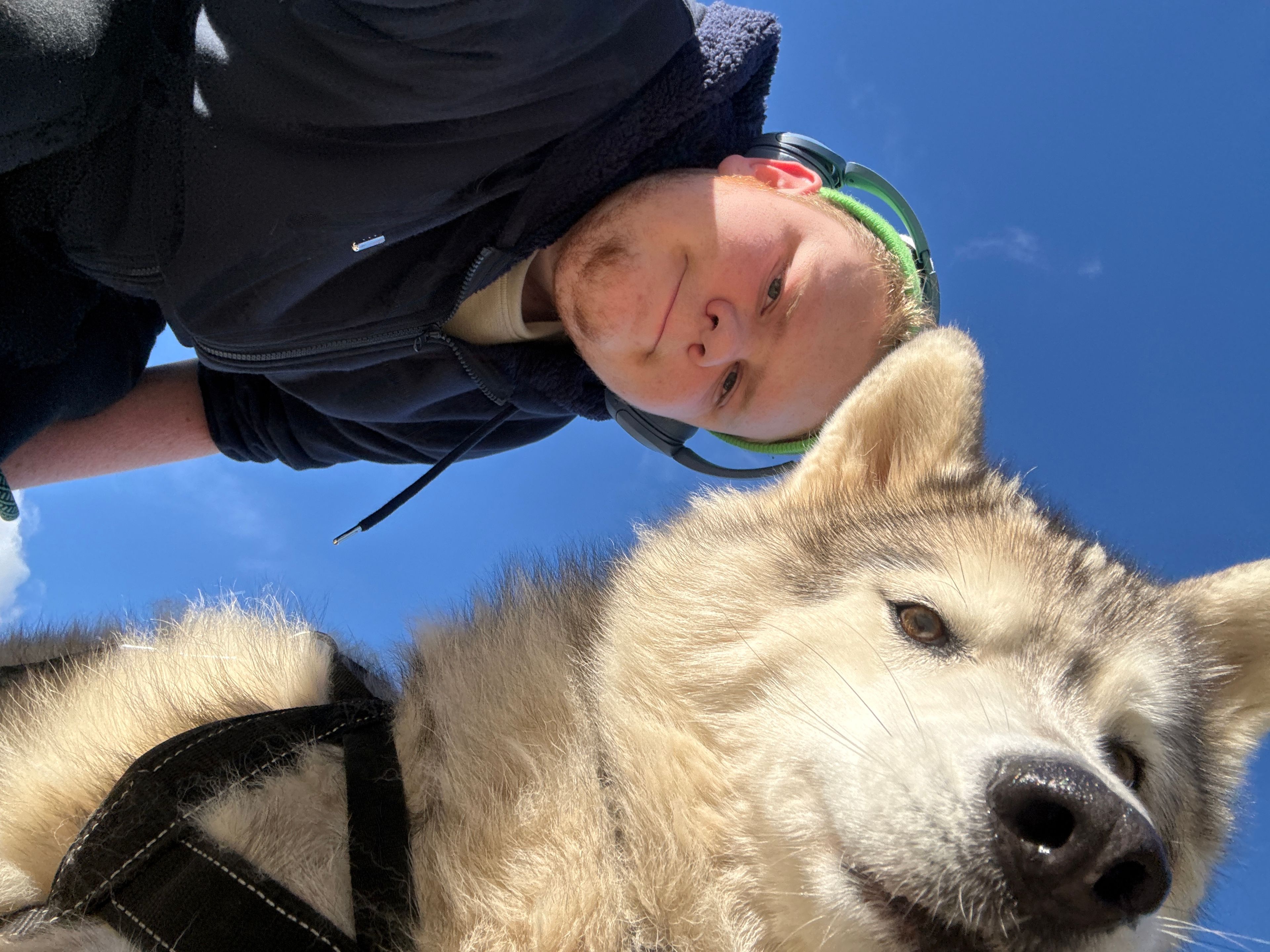 image-9