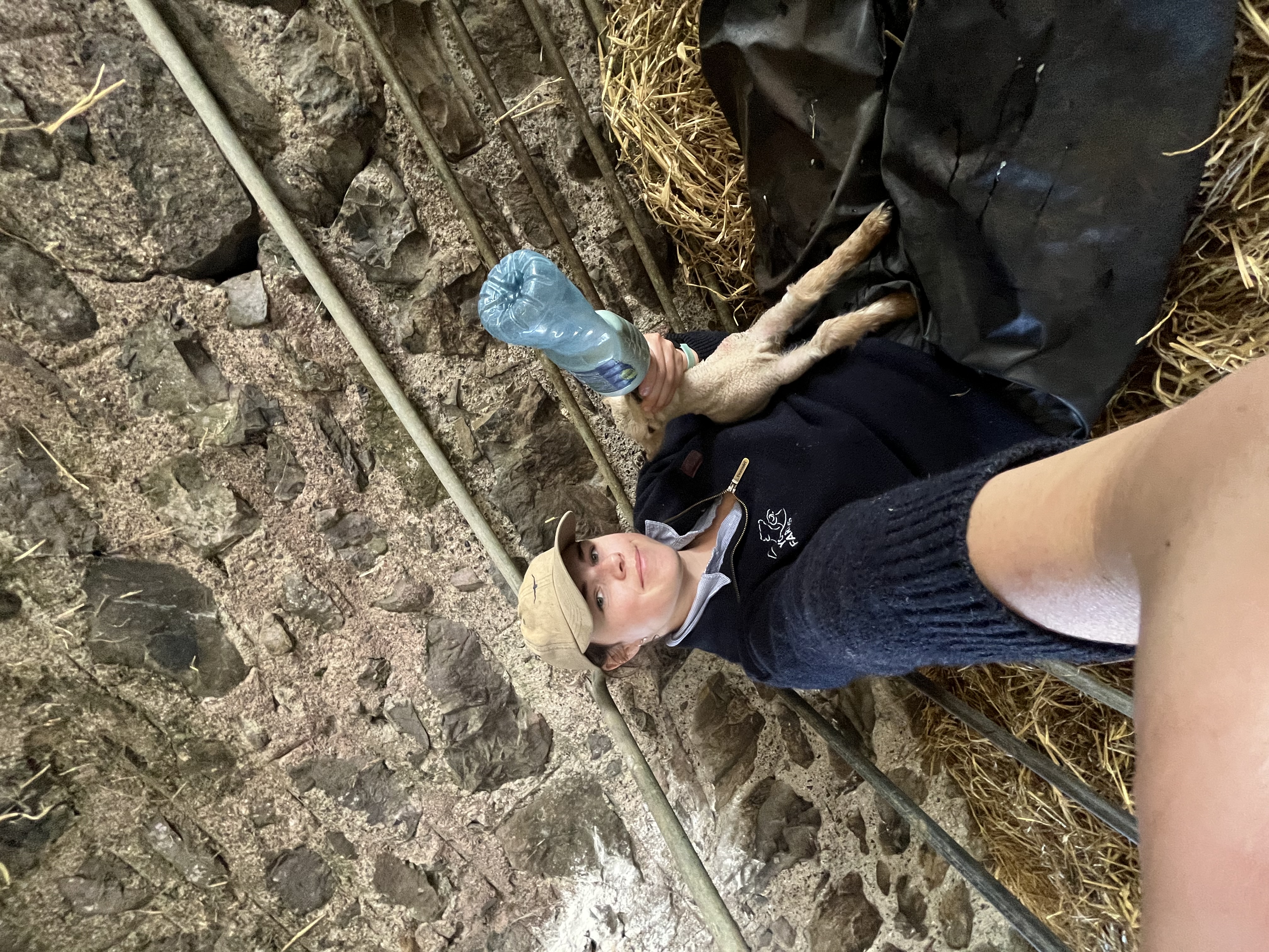 image-5