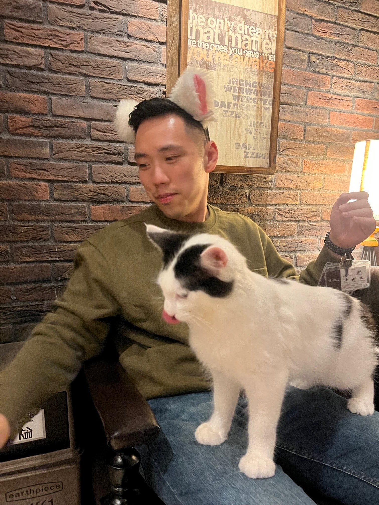 image-6
