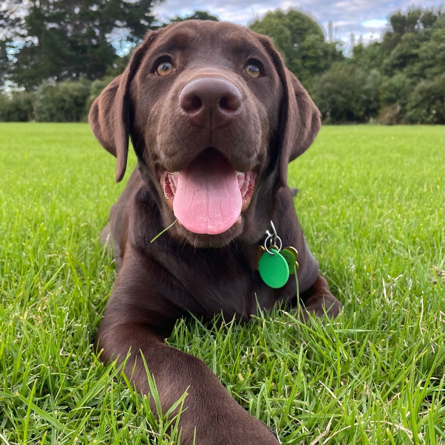 Mia