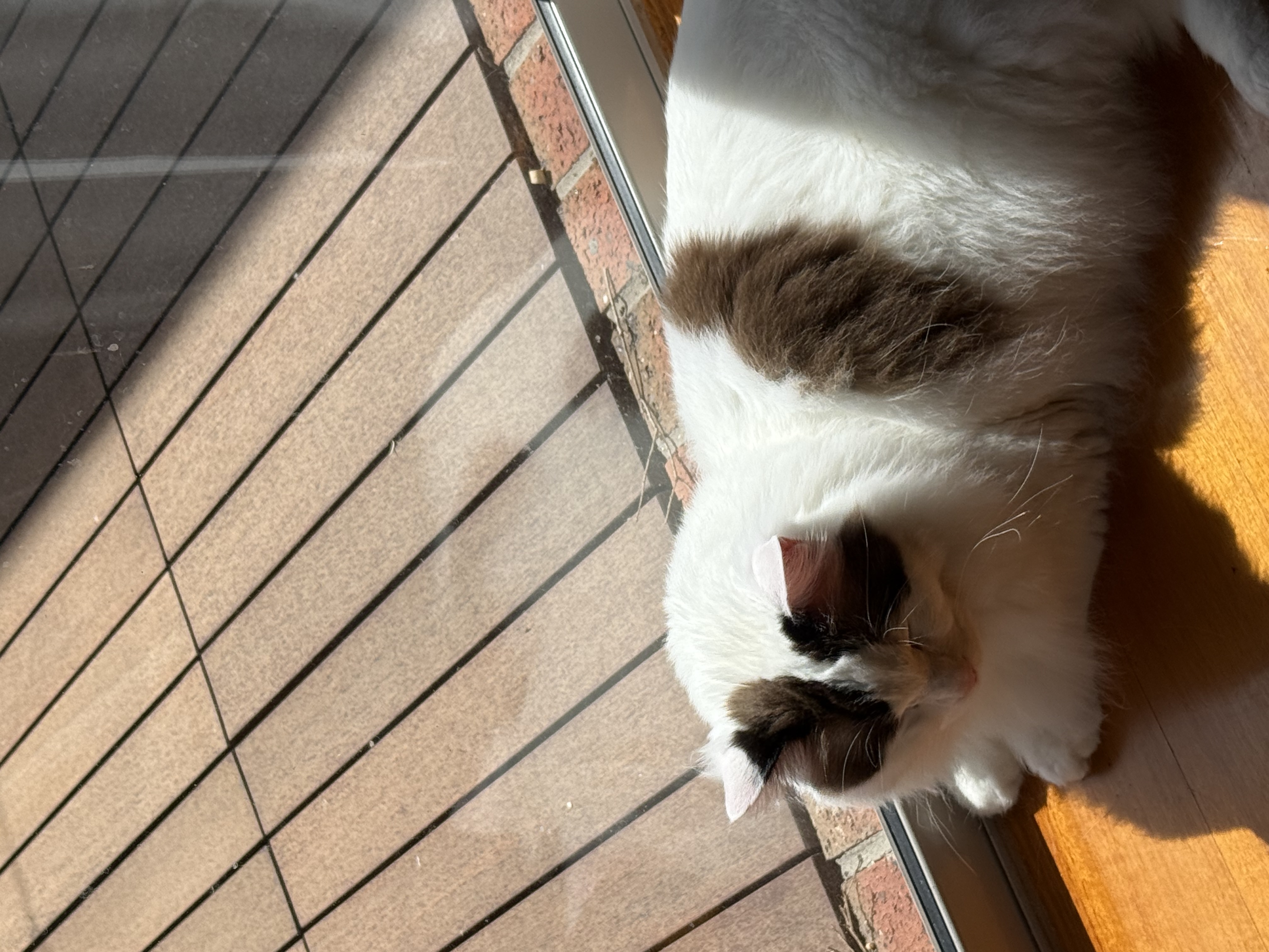 image-8