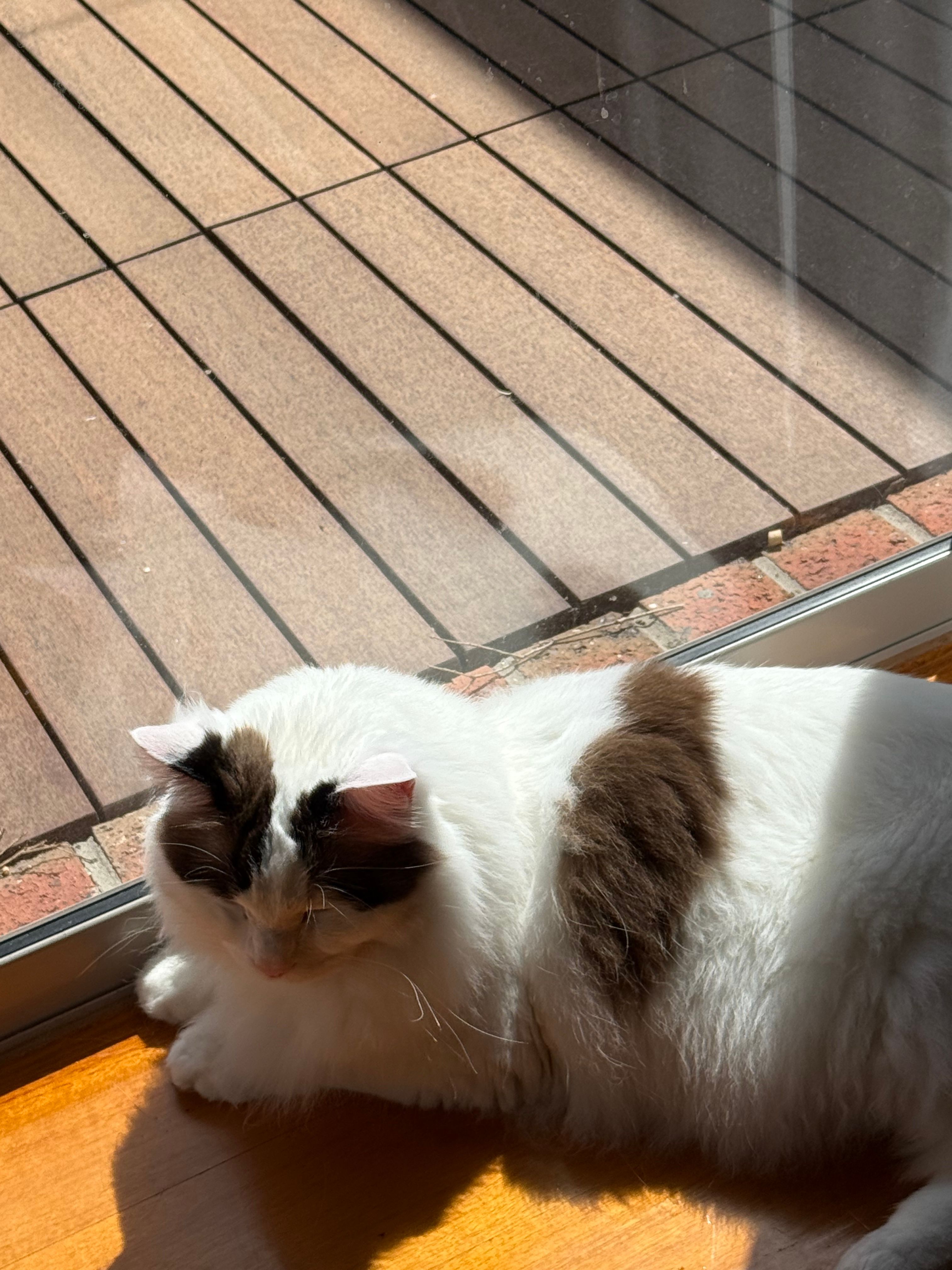 image-8