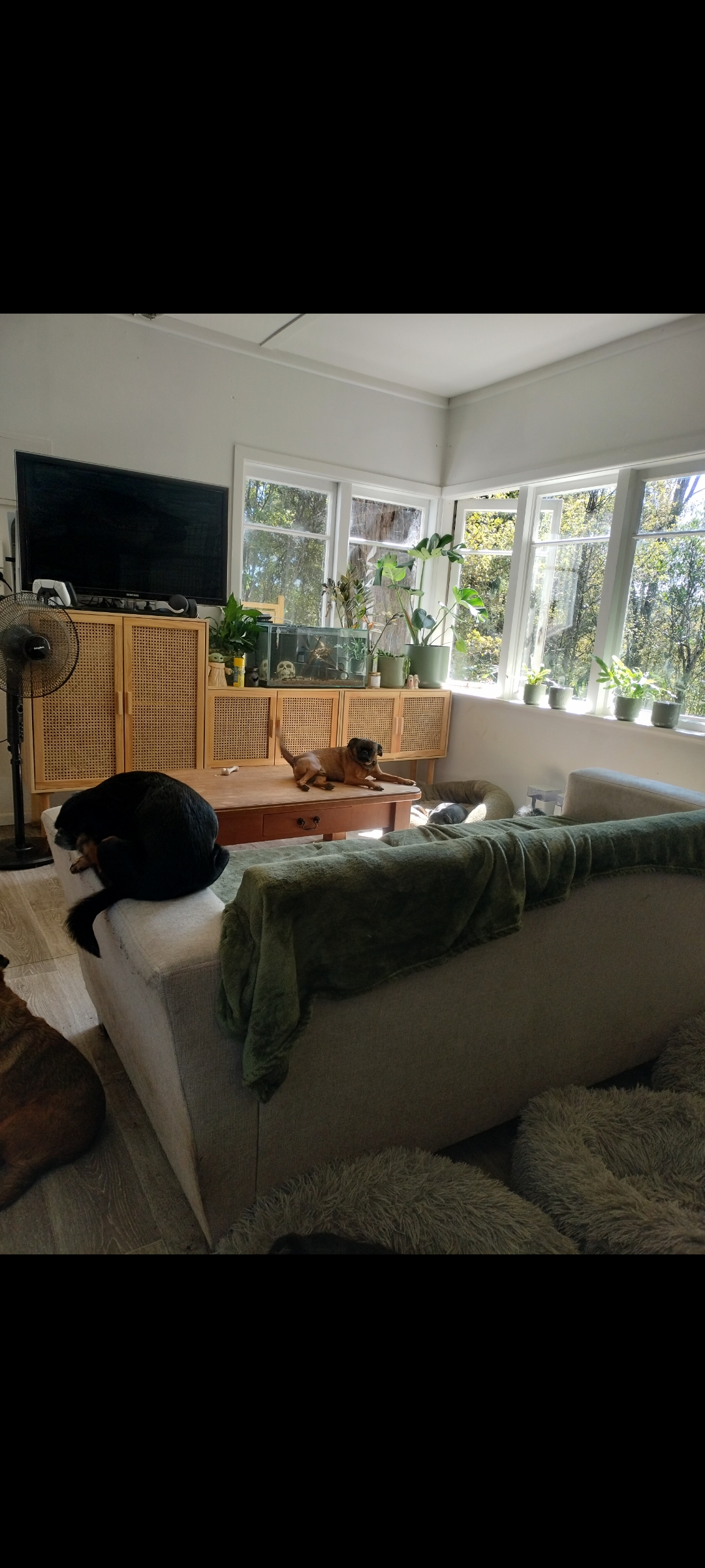 image-5