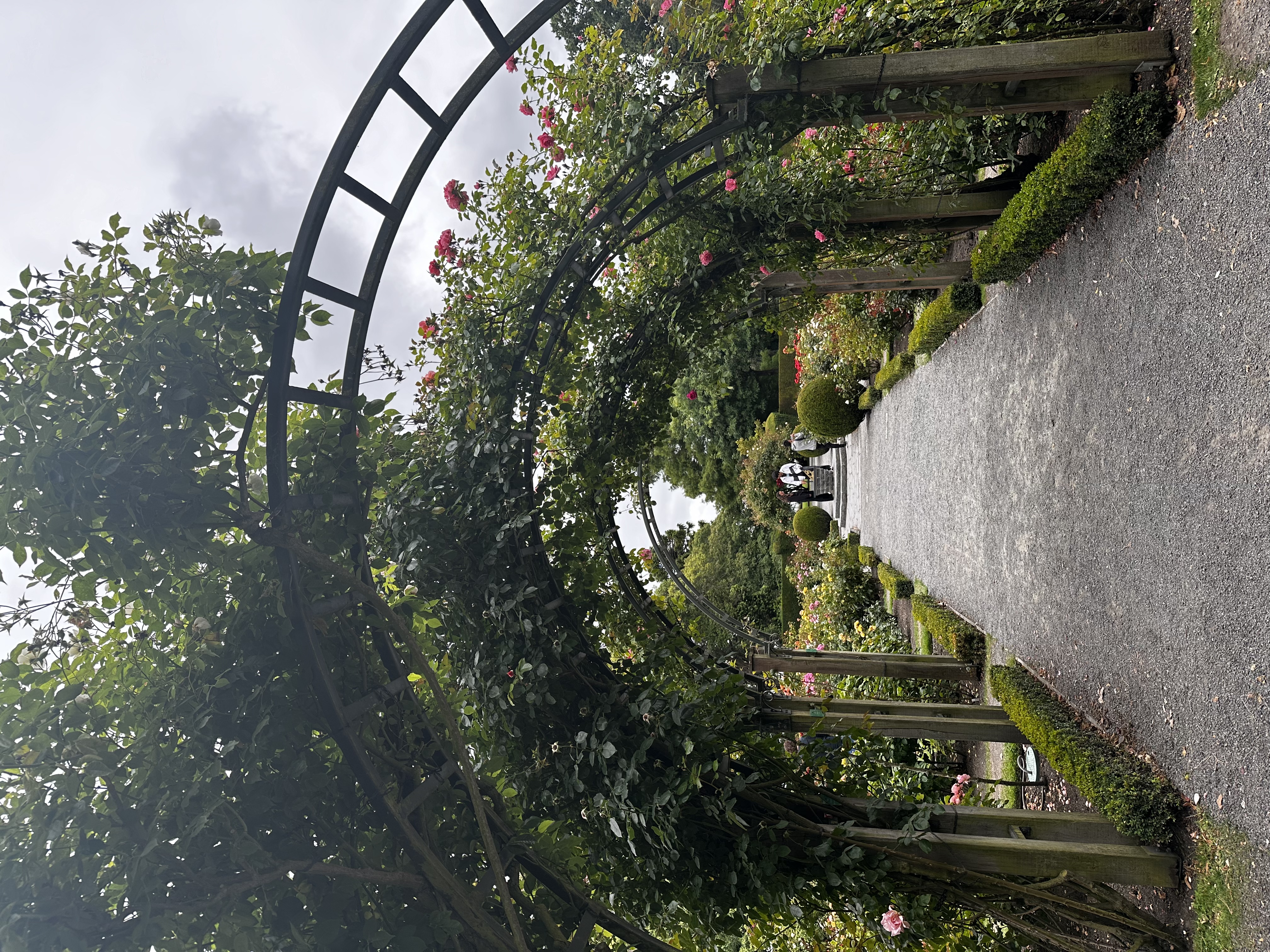 image-11