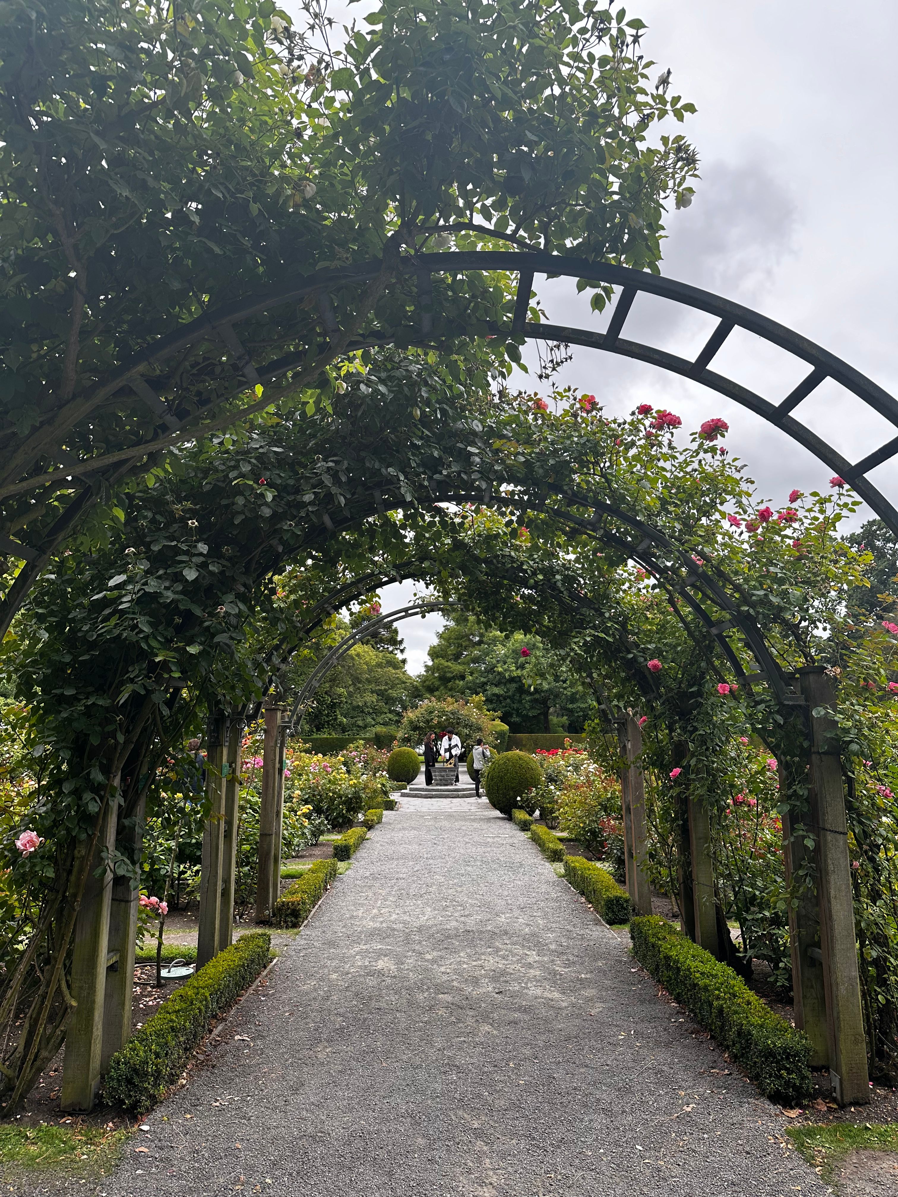 image-11