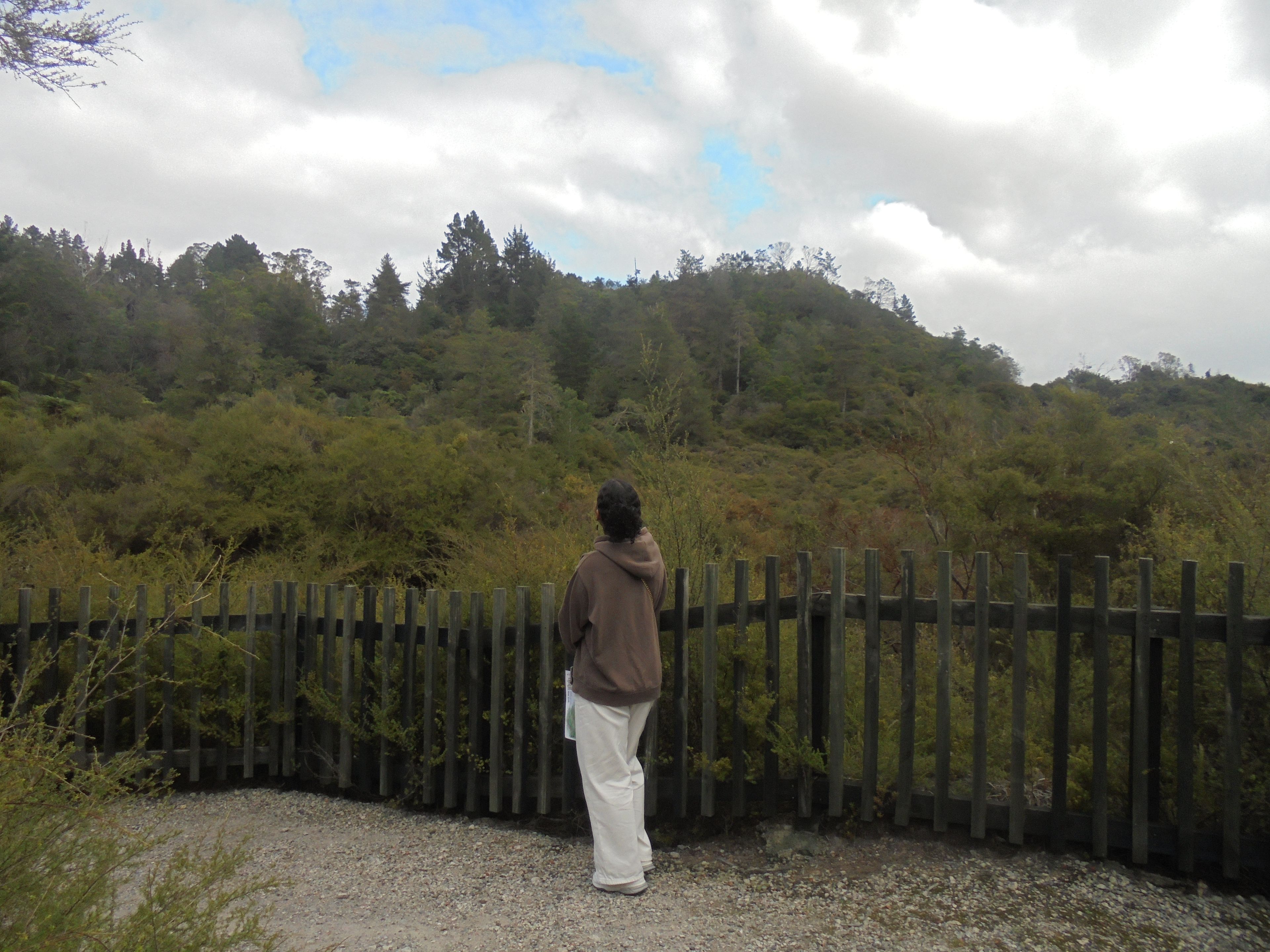 image-0