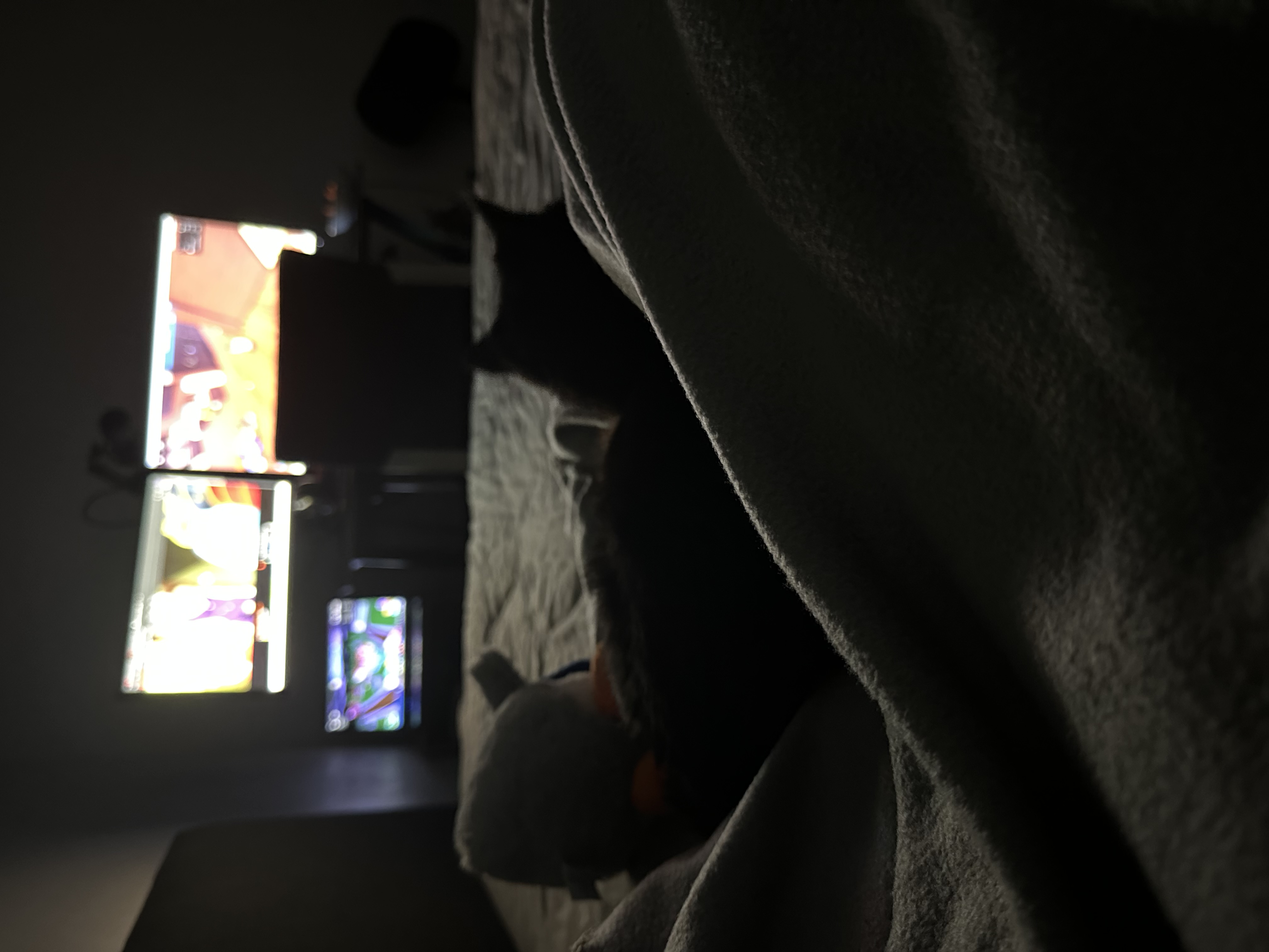 image-13