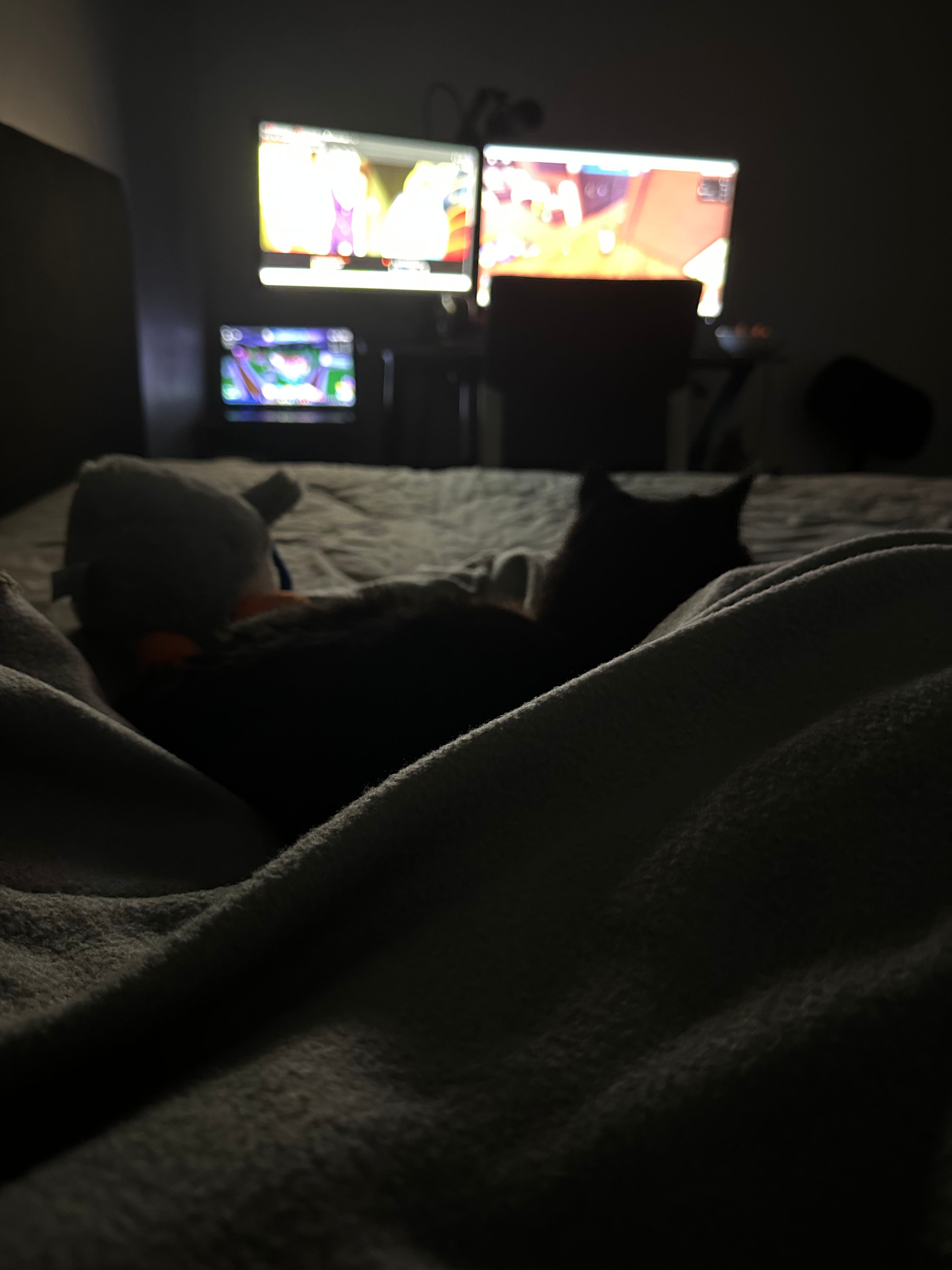 image-13