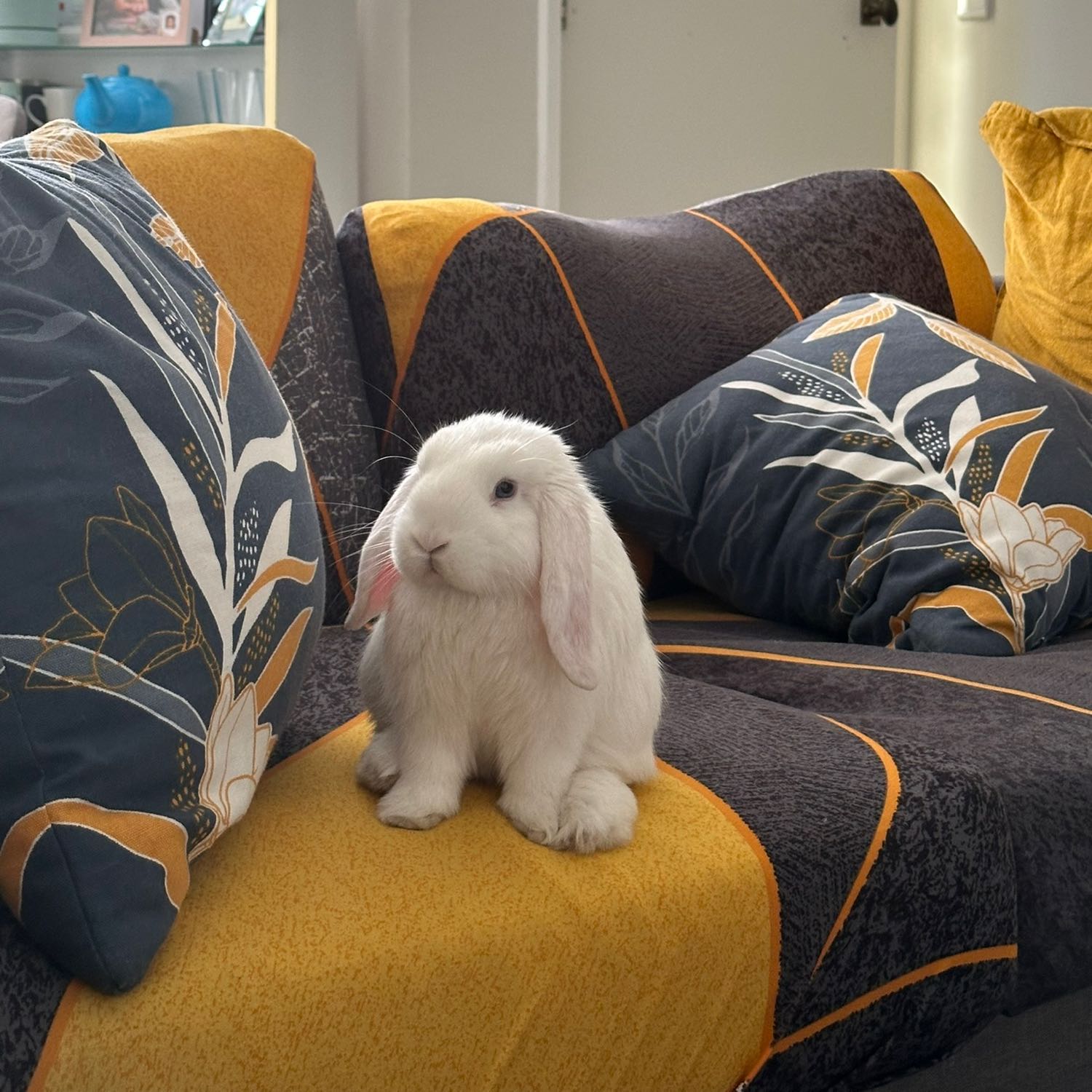 Lulu