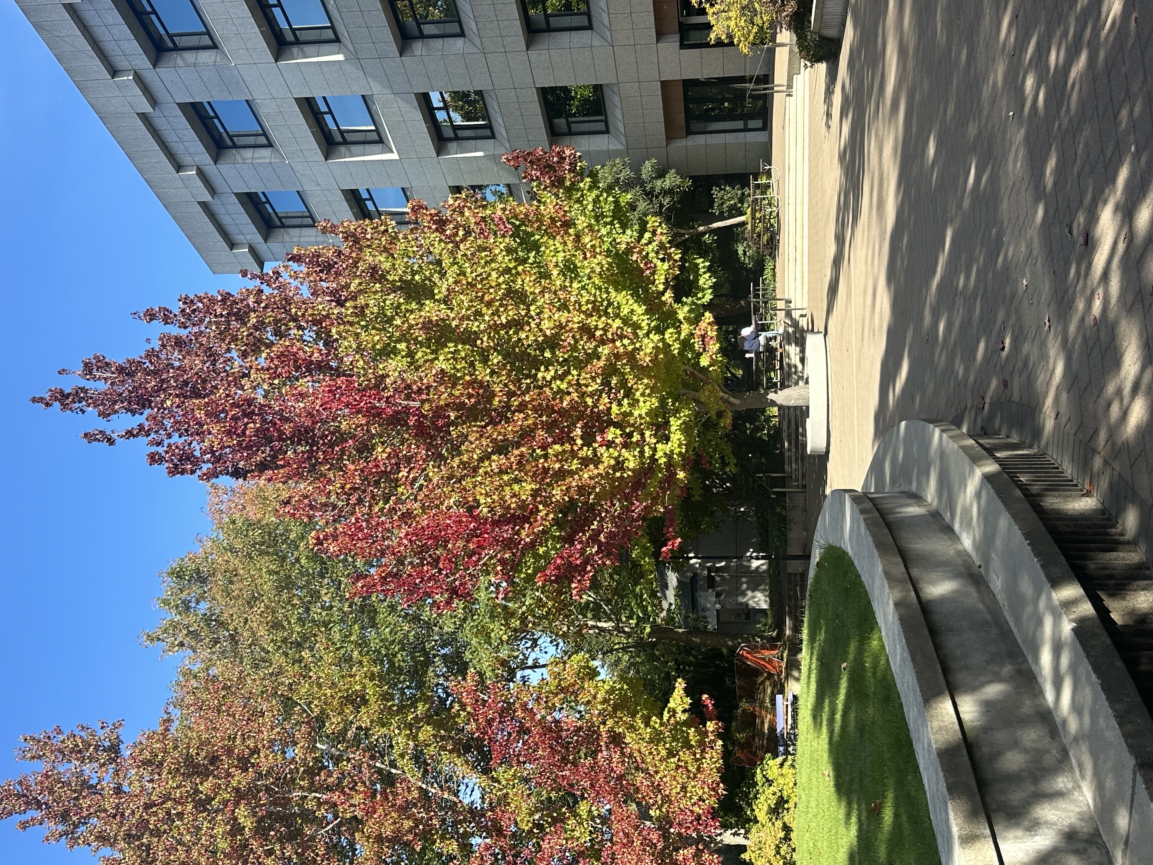 image-15