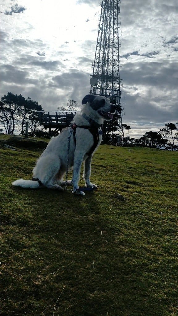 image-6