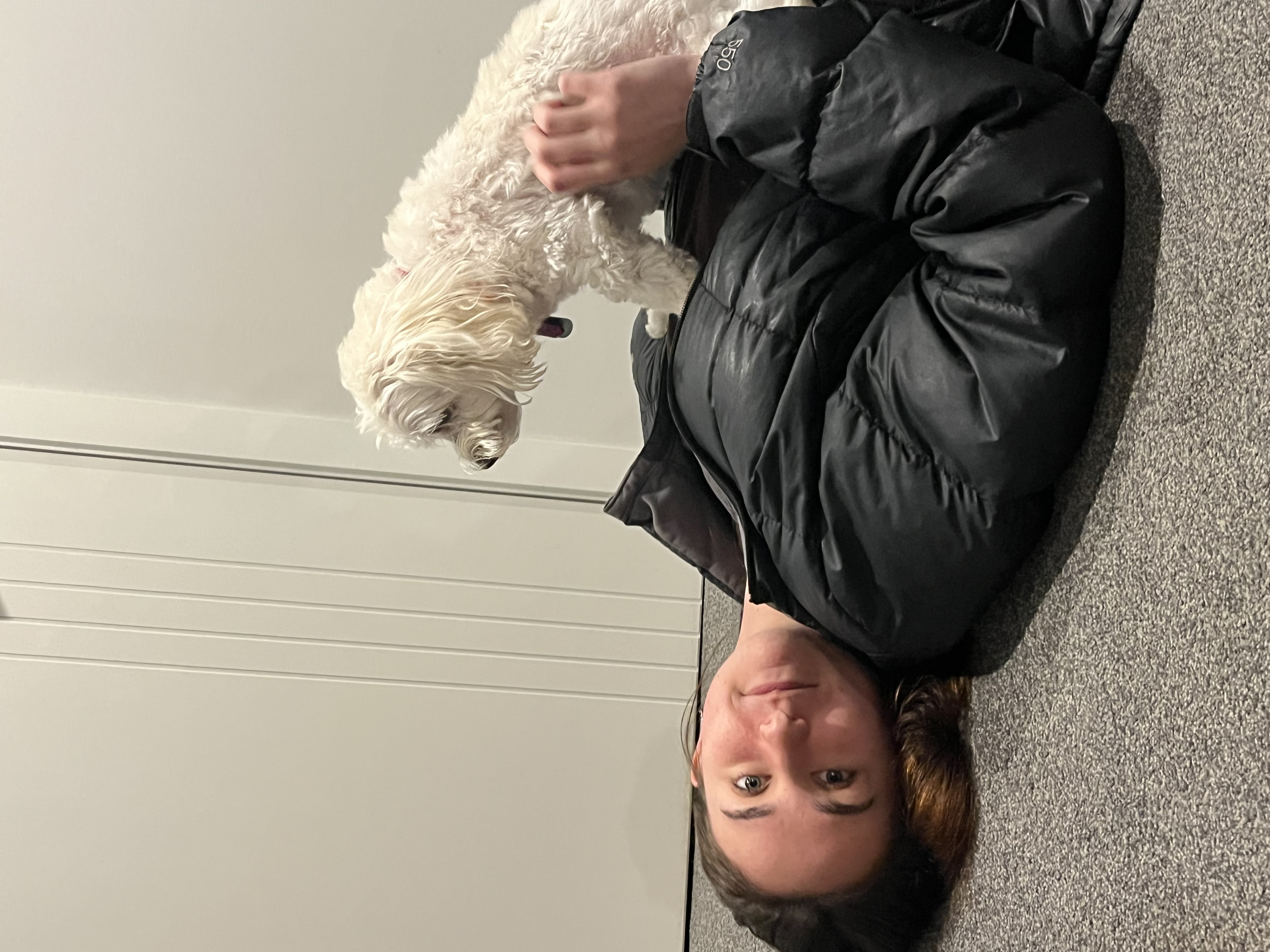 image-8