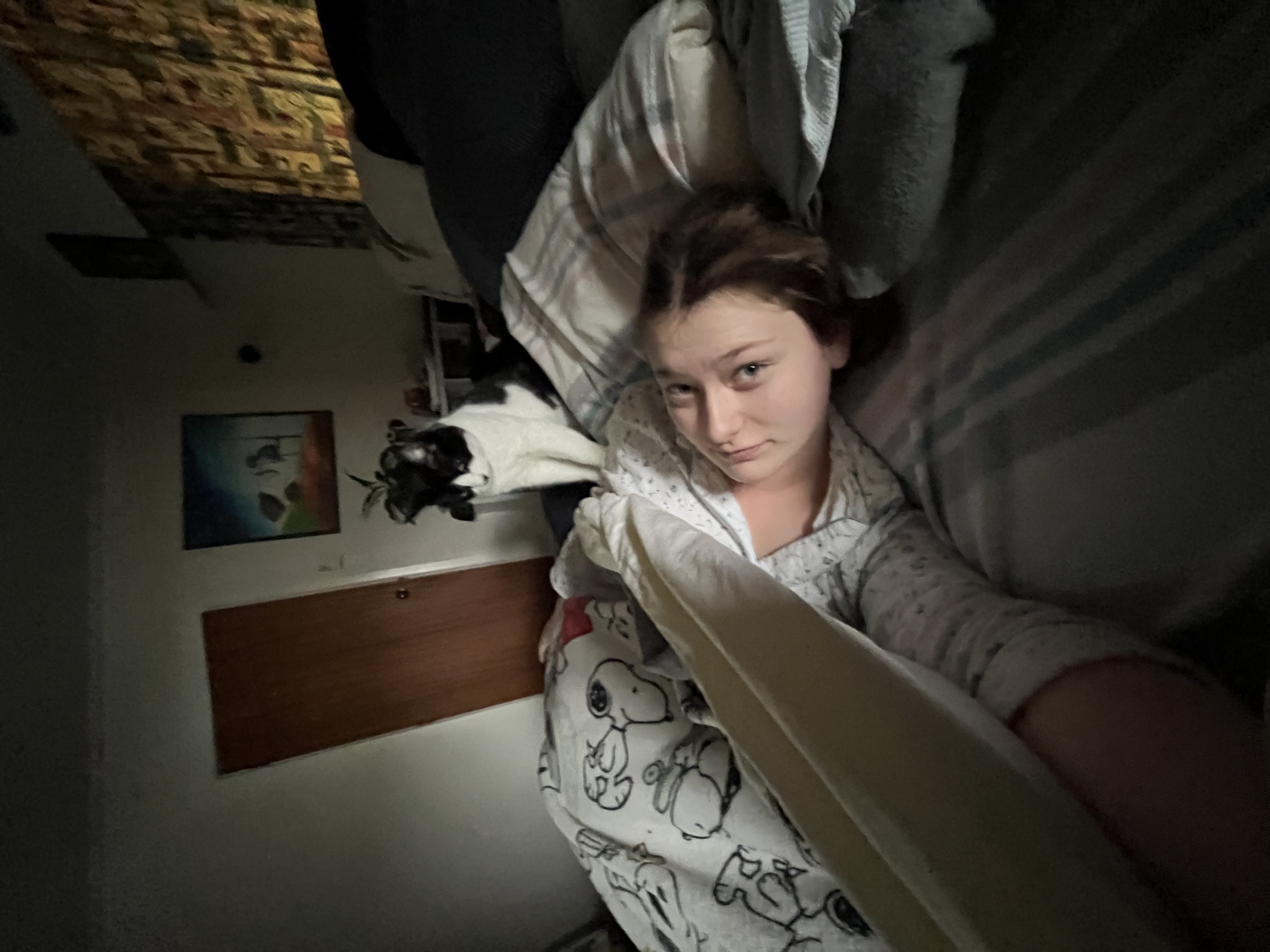 image-7