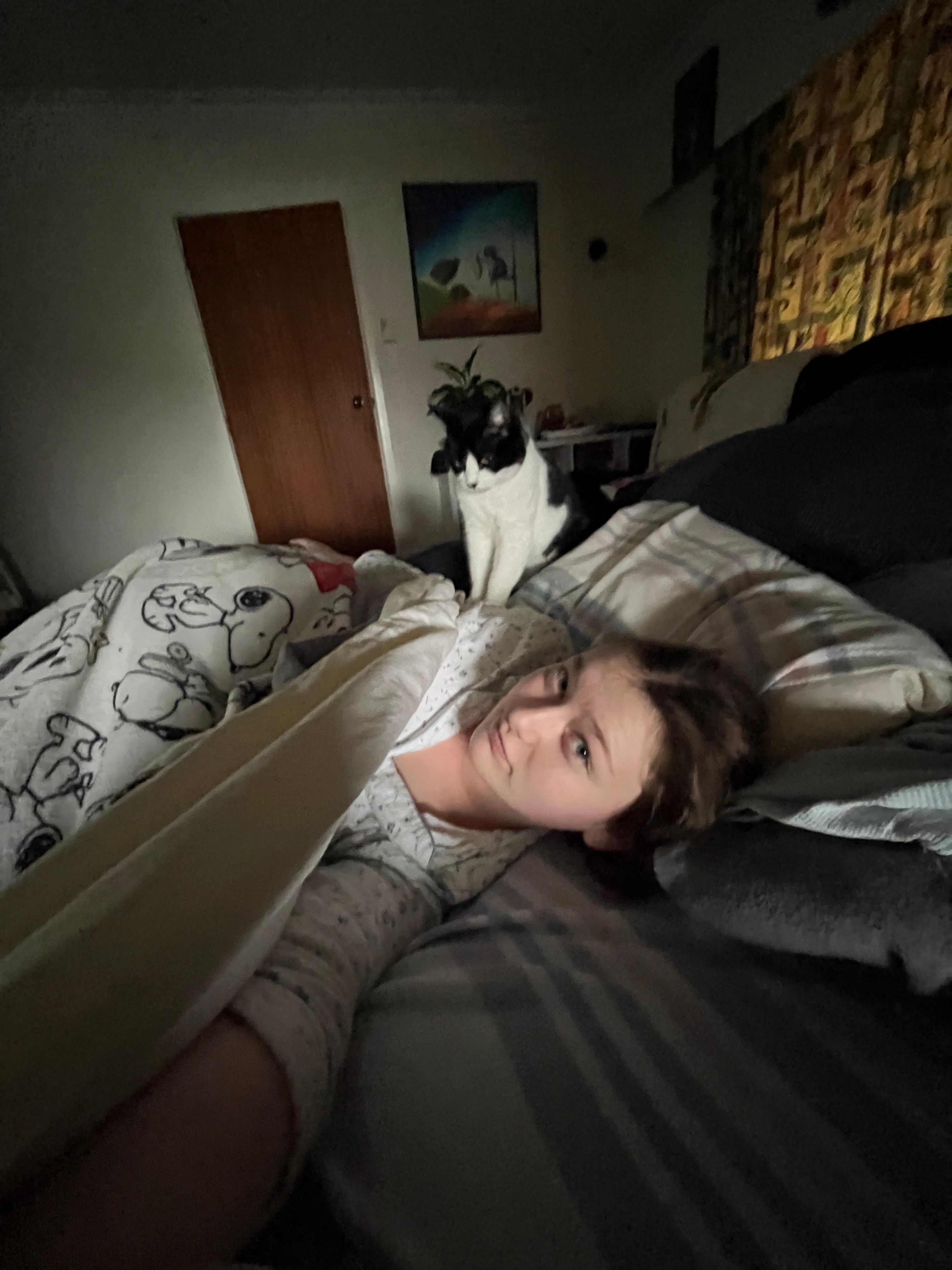 image-7