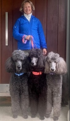 image-6