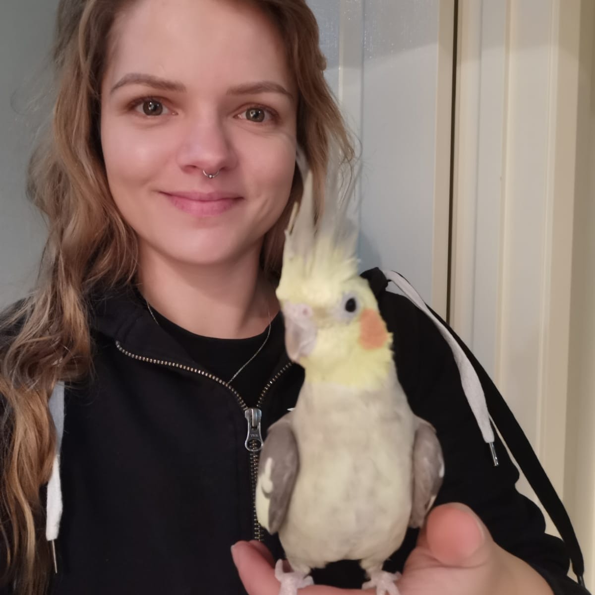 Alicja