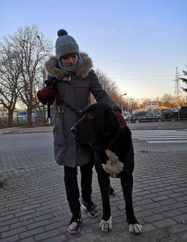 image-9