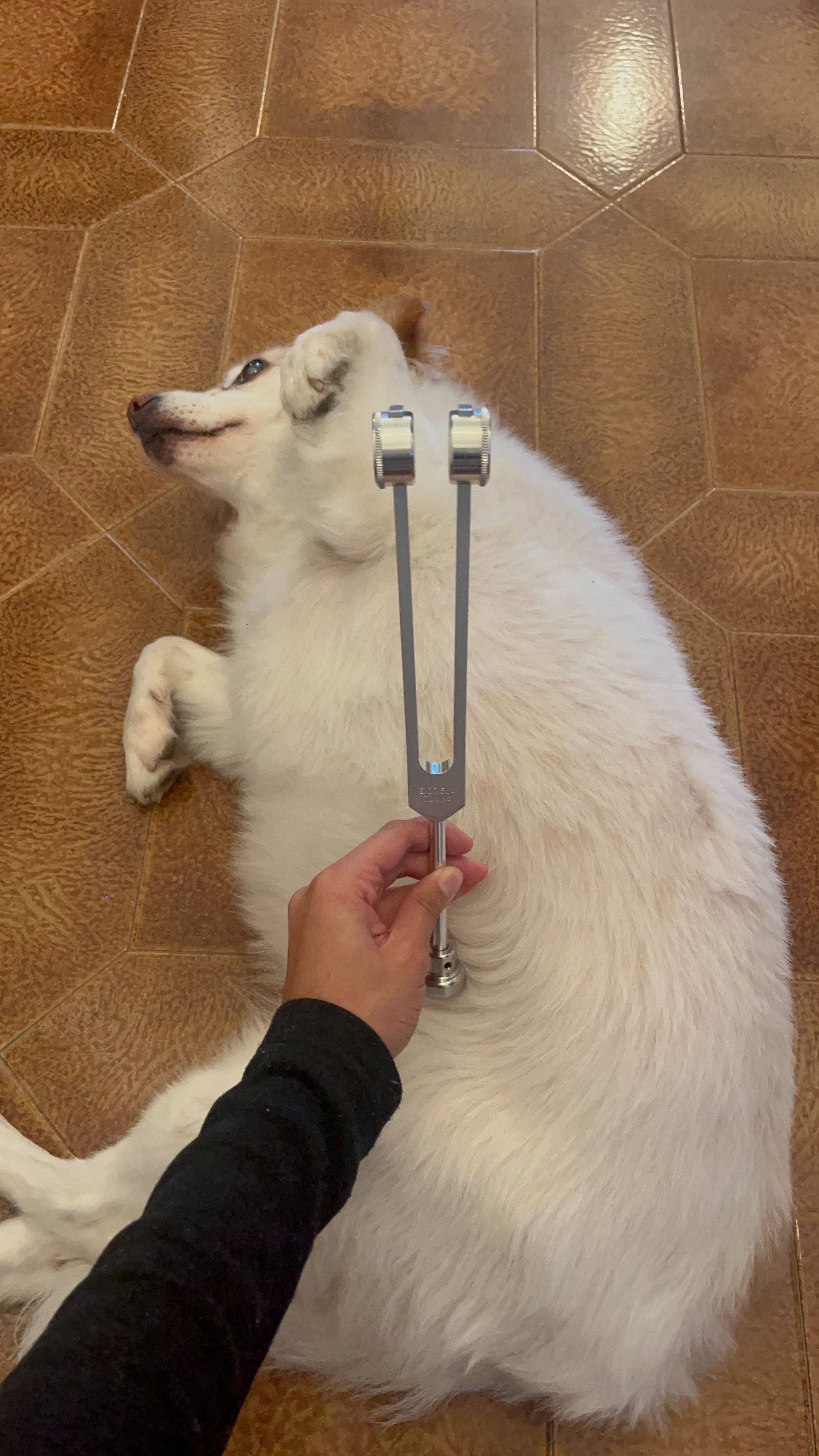 image-6