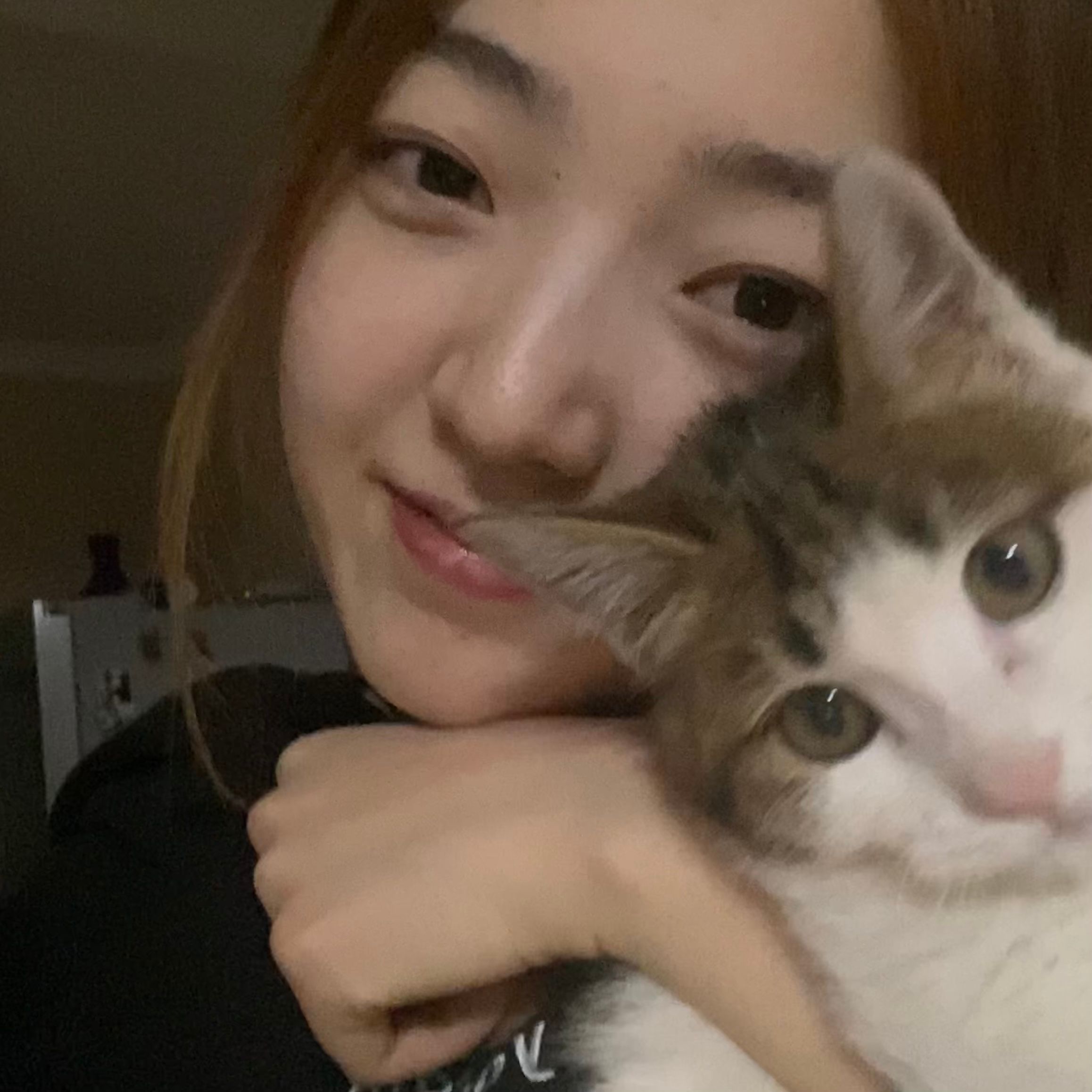 image-5