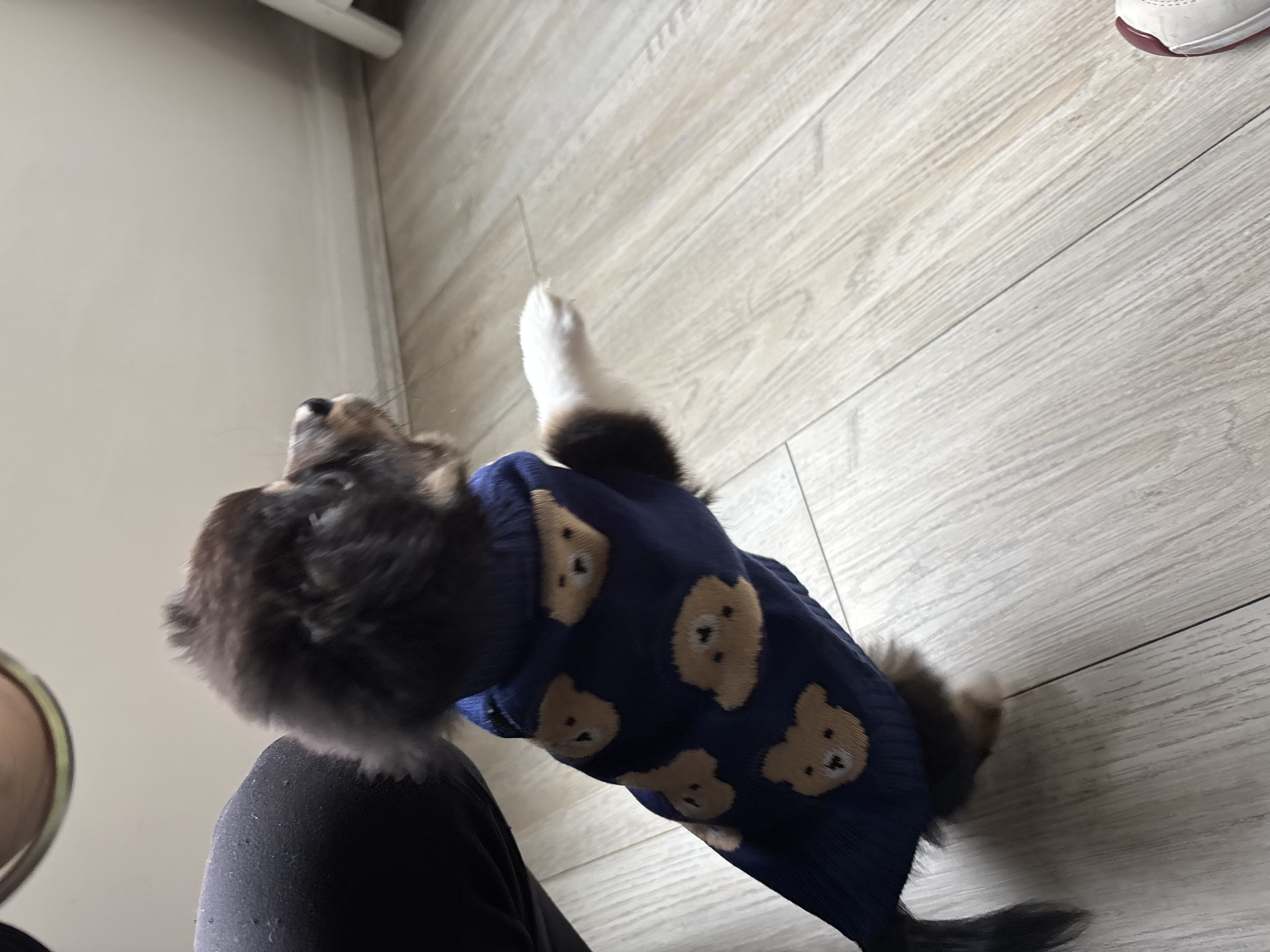 image-11