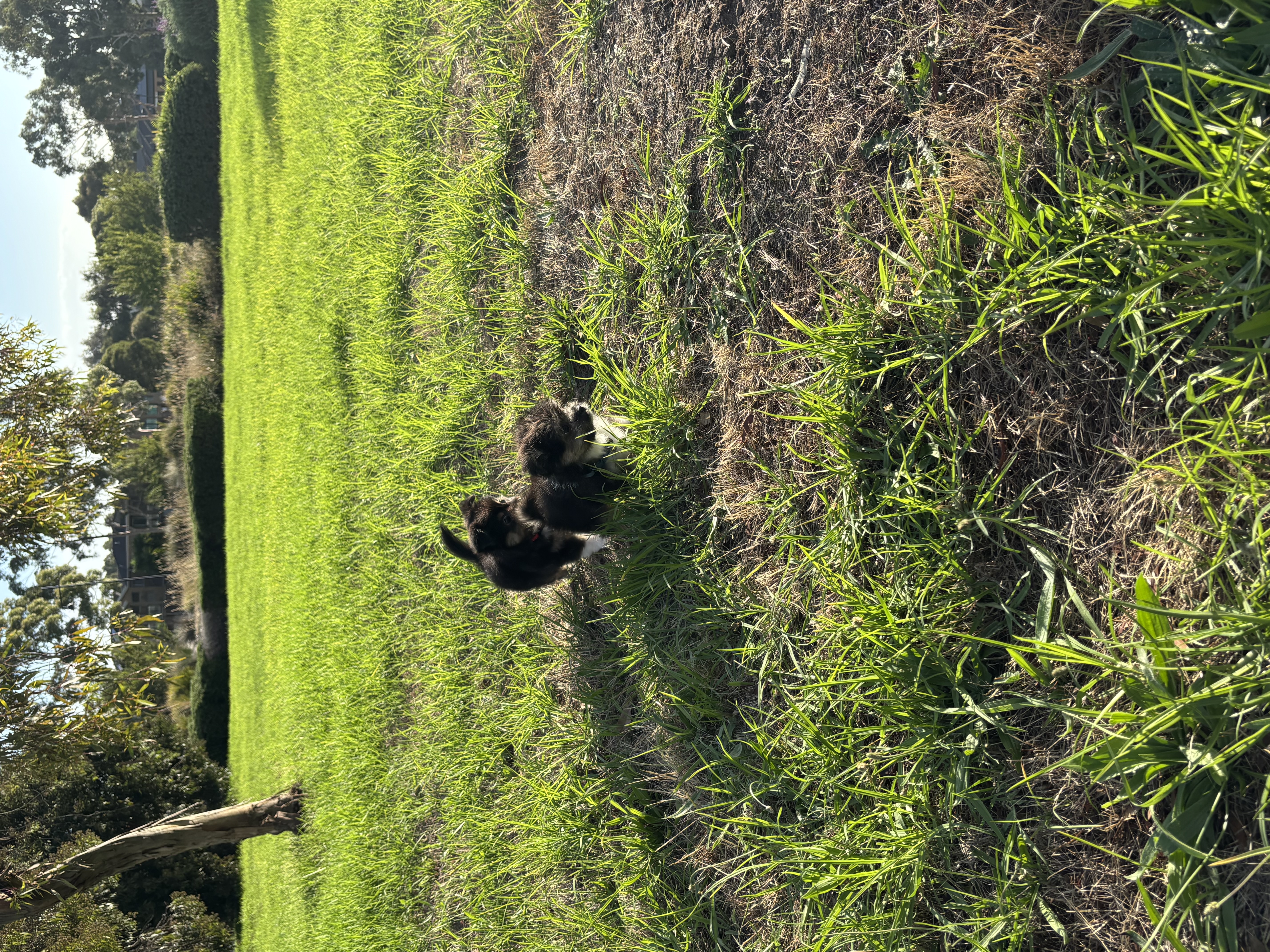 image-5