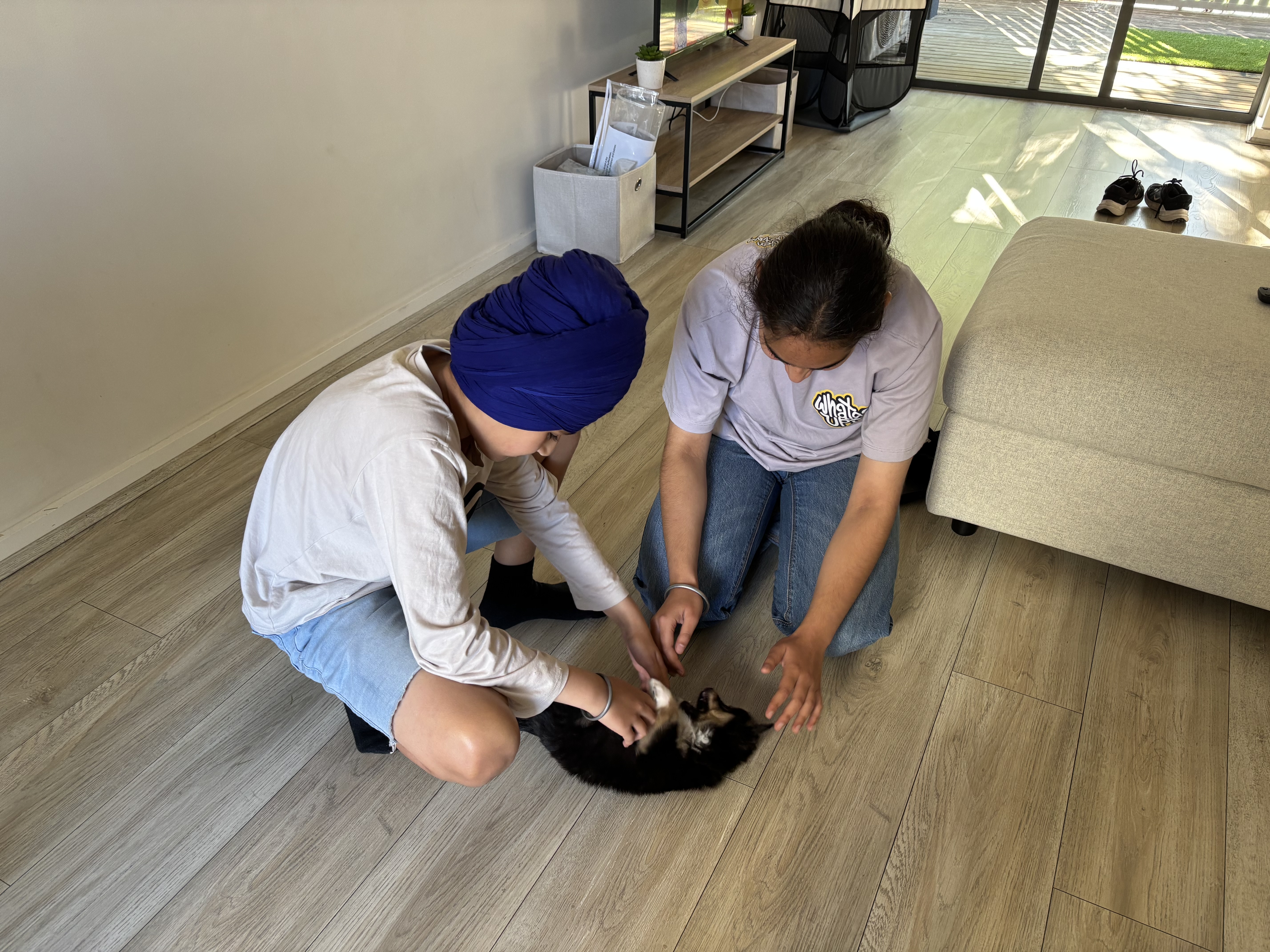 image-16