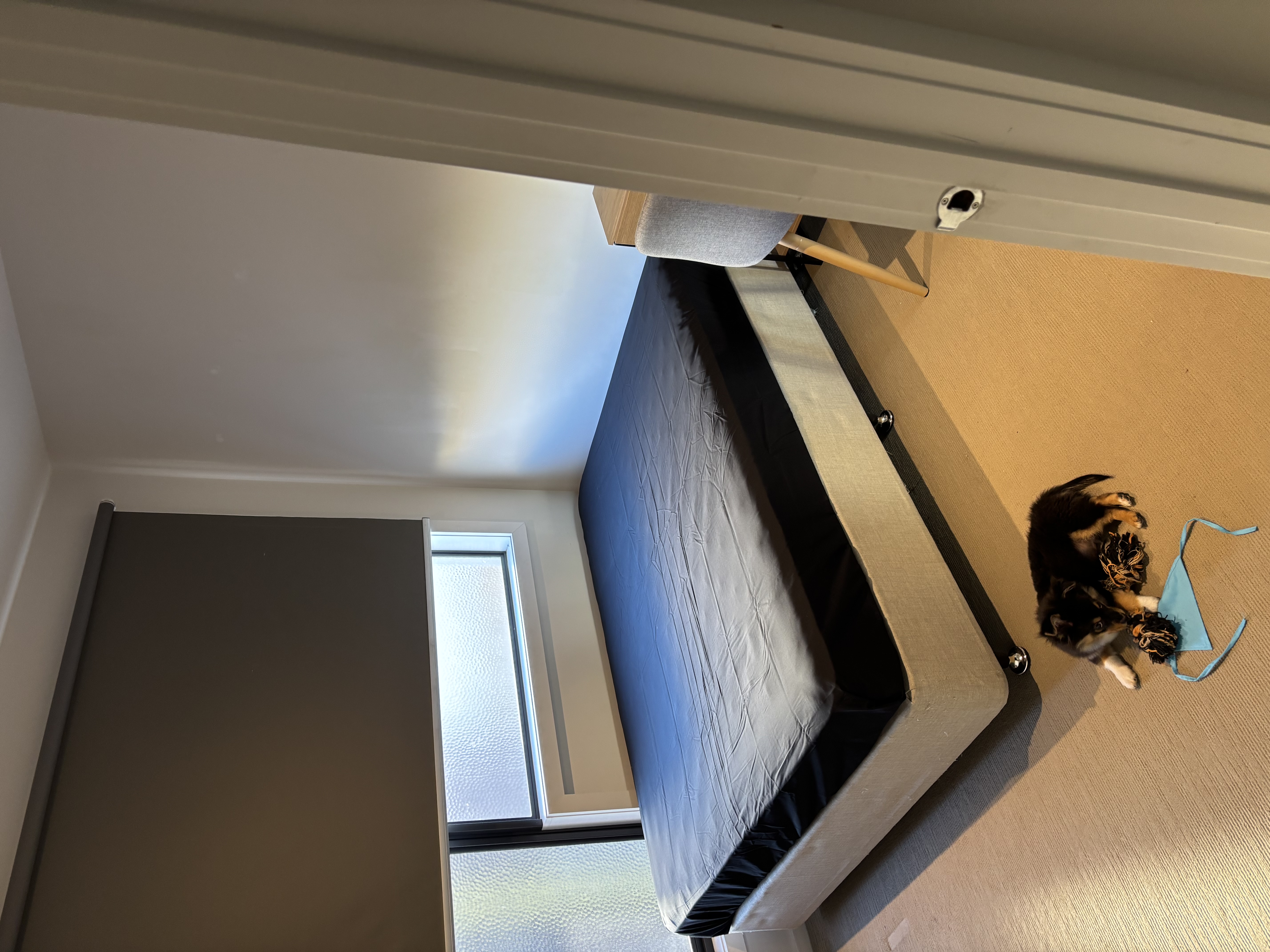 image-37