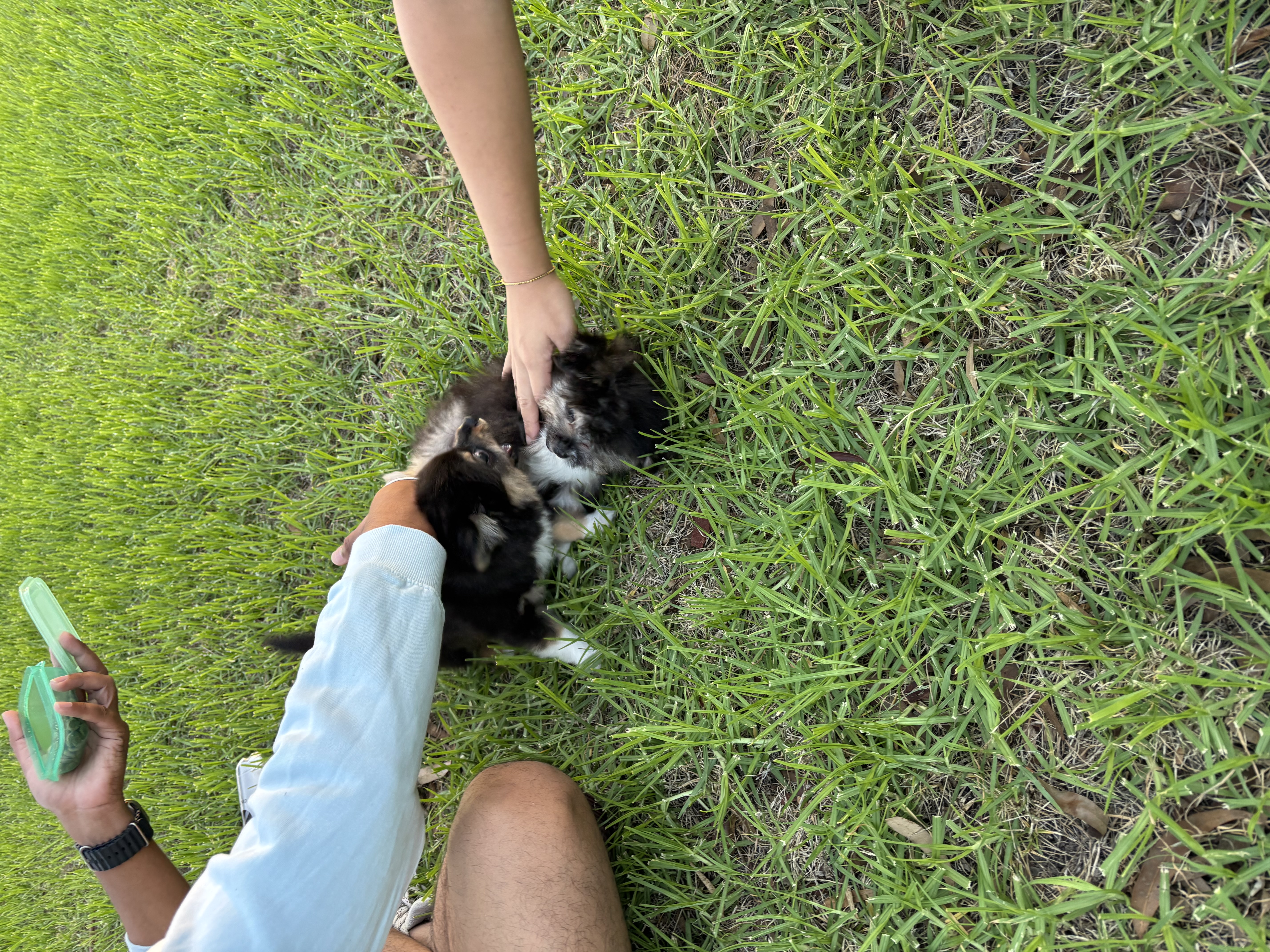 image-12