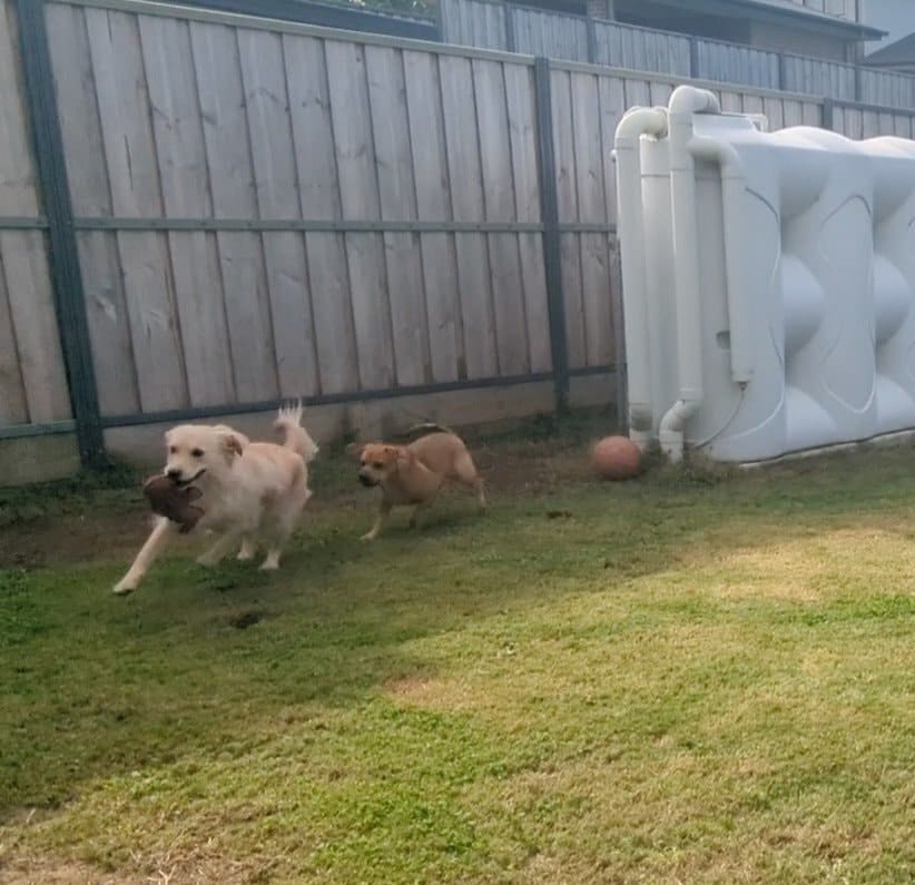 image-35