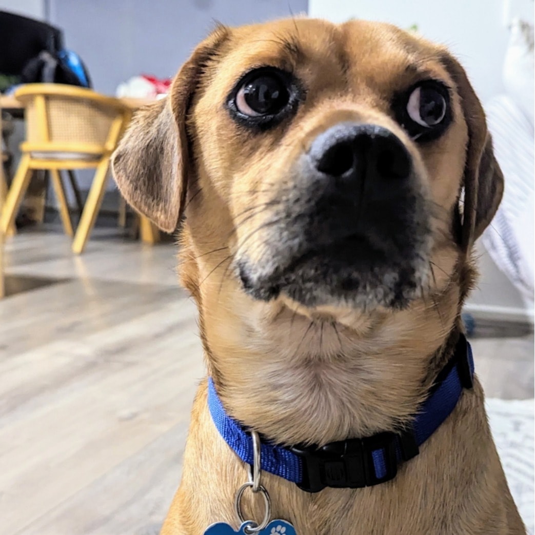 Coco