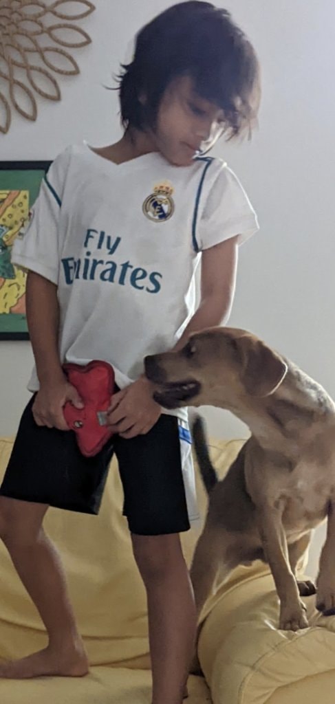 image-11