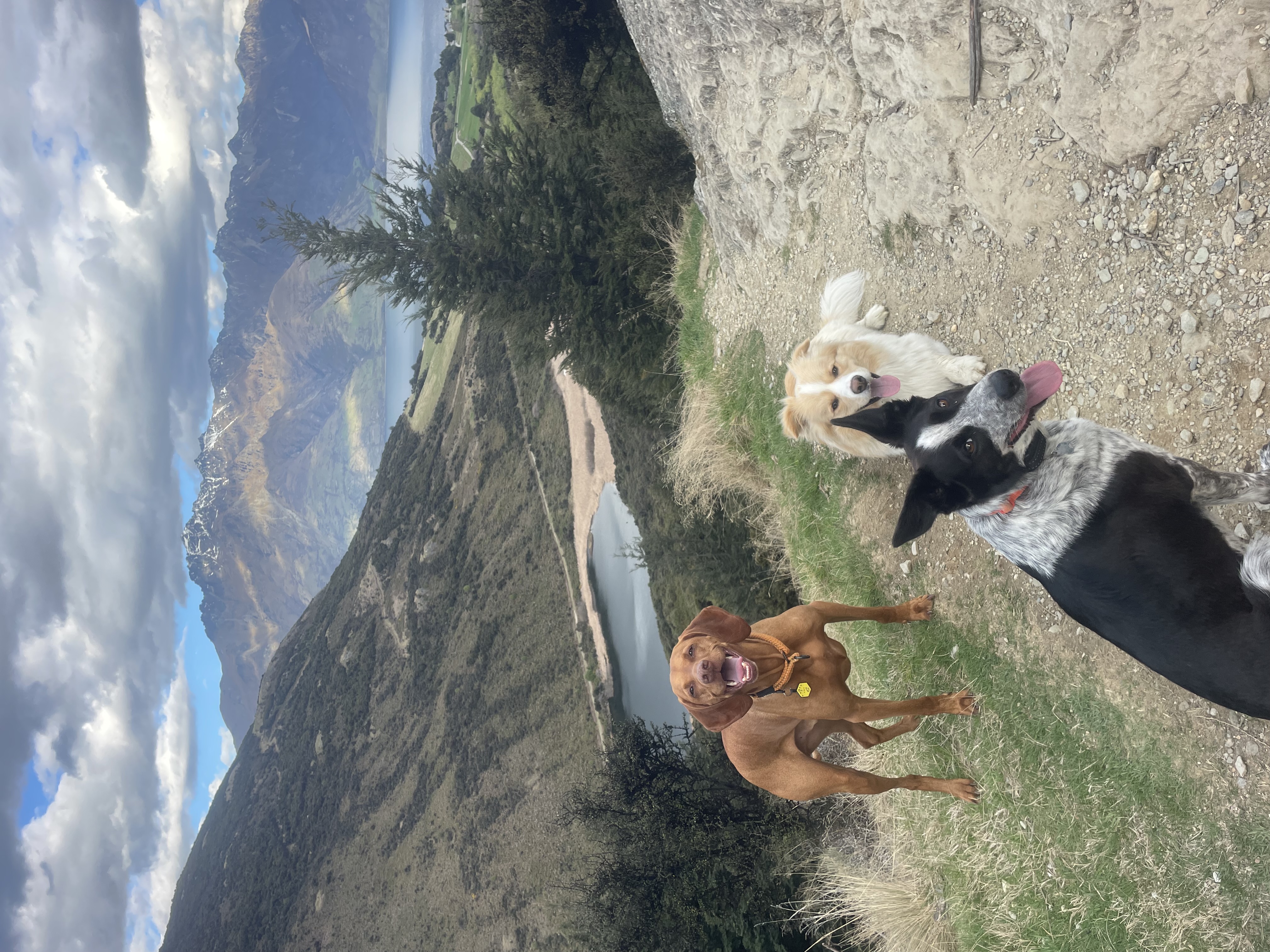 image-7