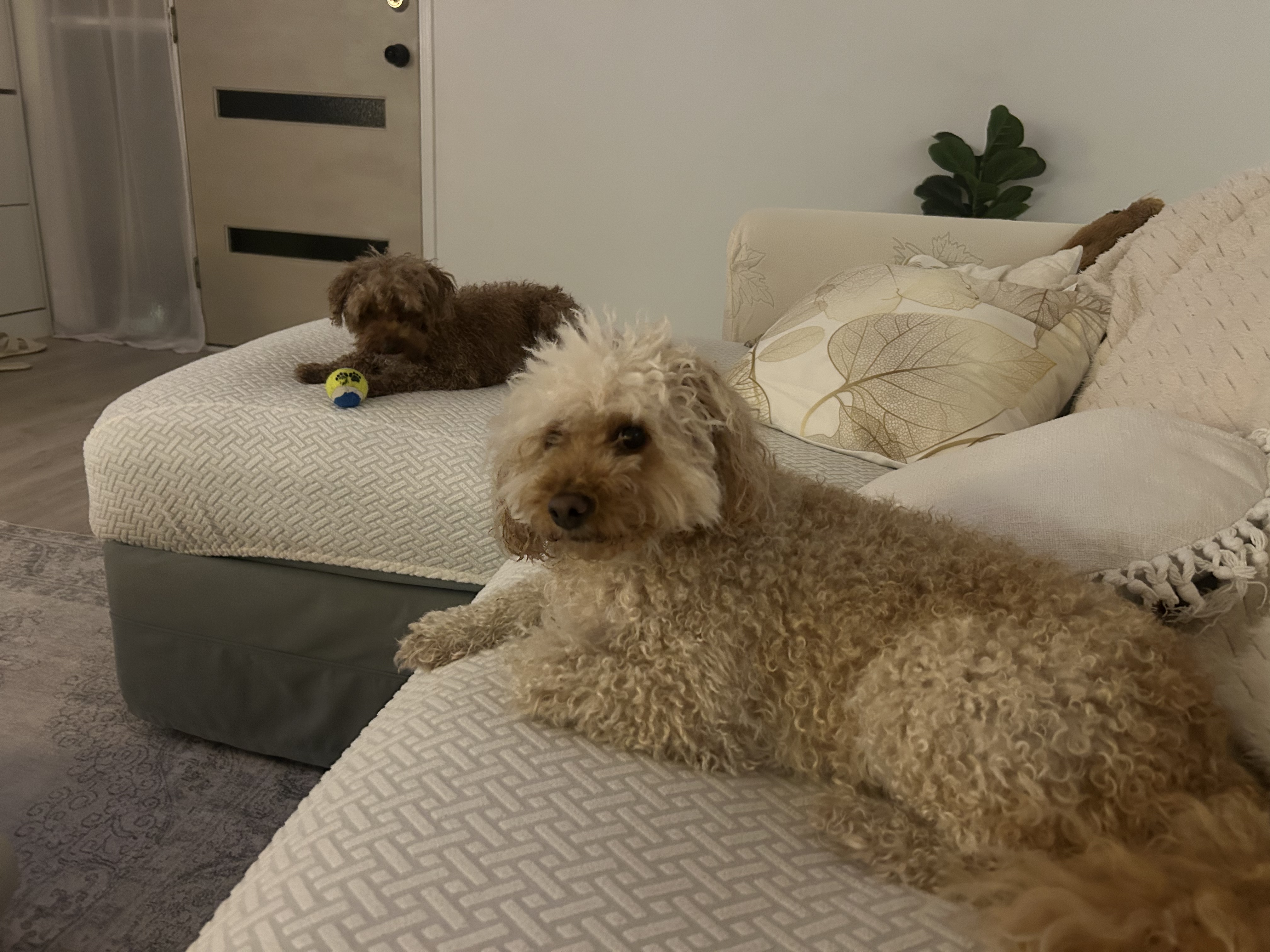 image-18