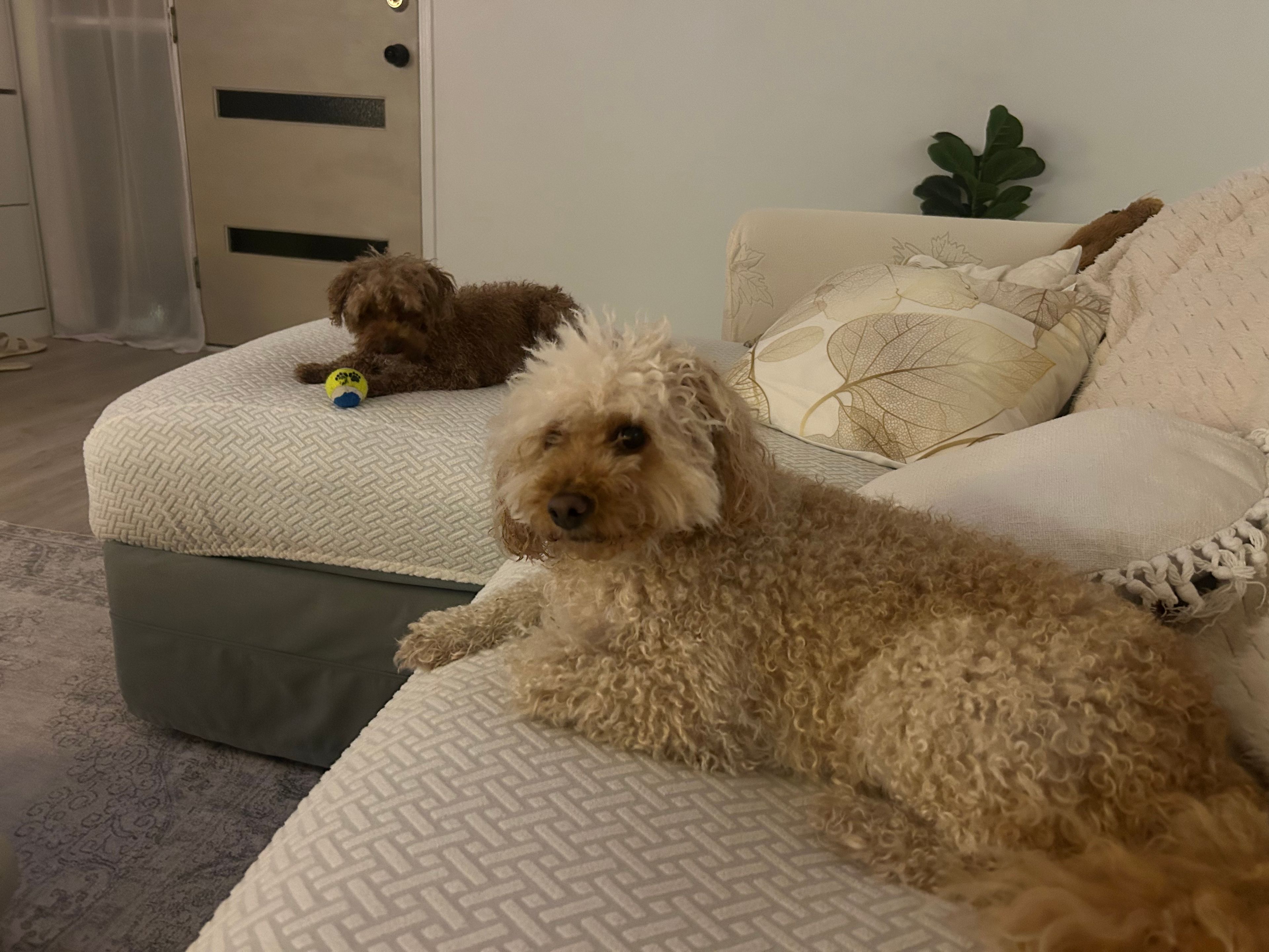 image-18